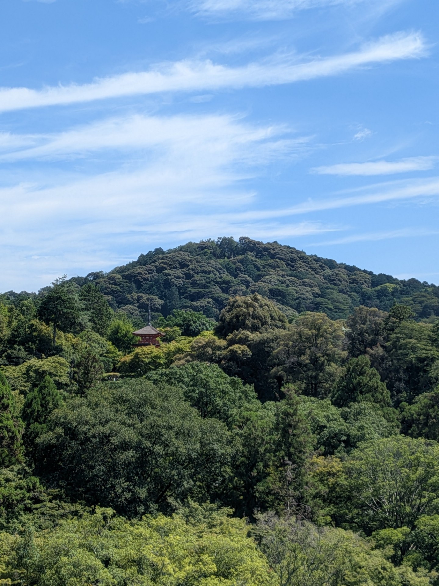 京都旅行中+トーリス200人(残144)