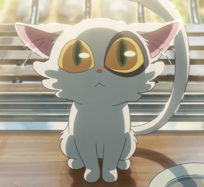 みんなきてね(>_<)