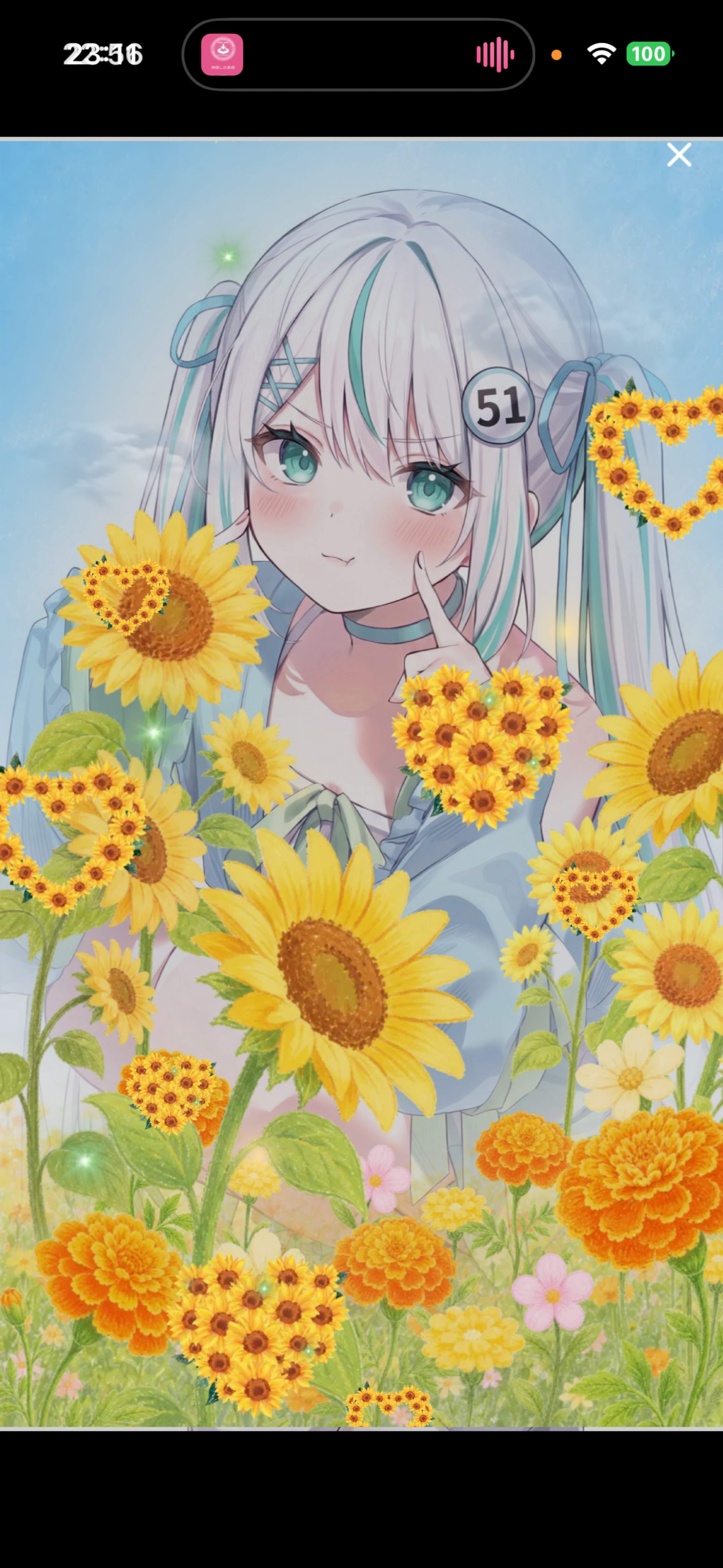 はろはろはろー