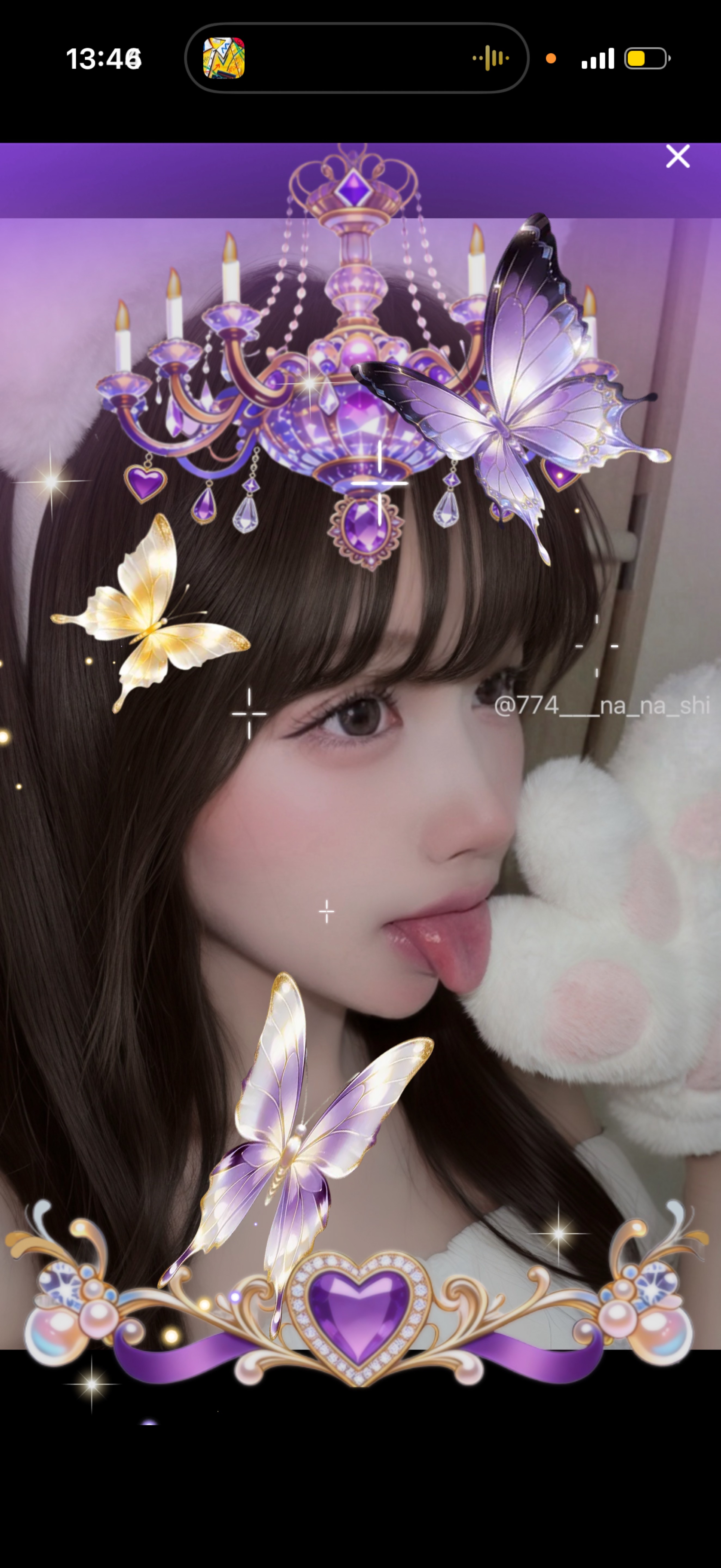 飼ってみる？🐈
