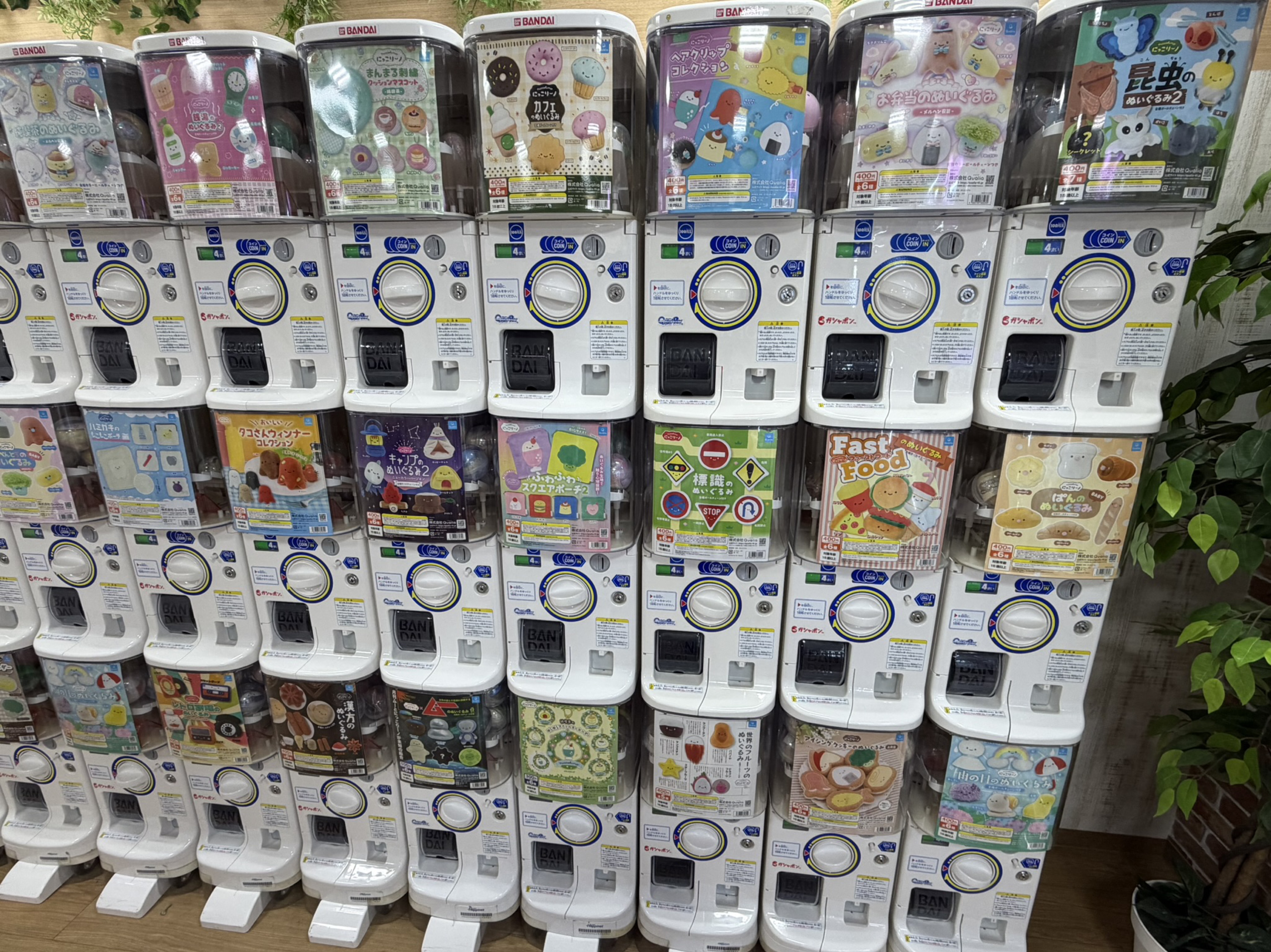目、あったね👀❕