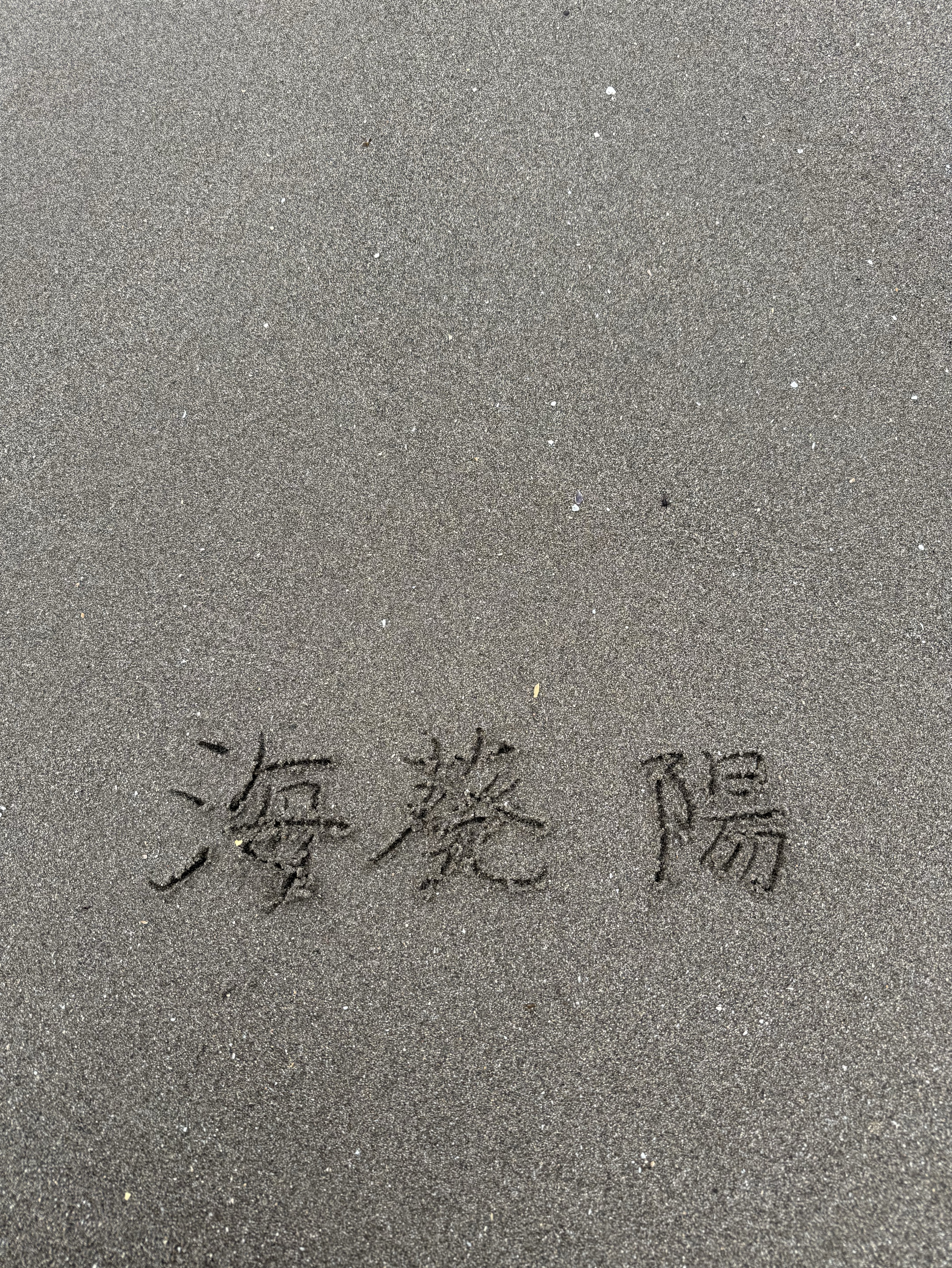 朝海枠🌊