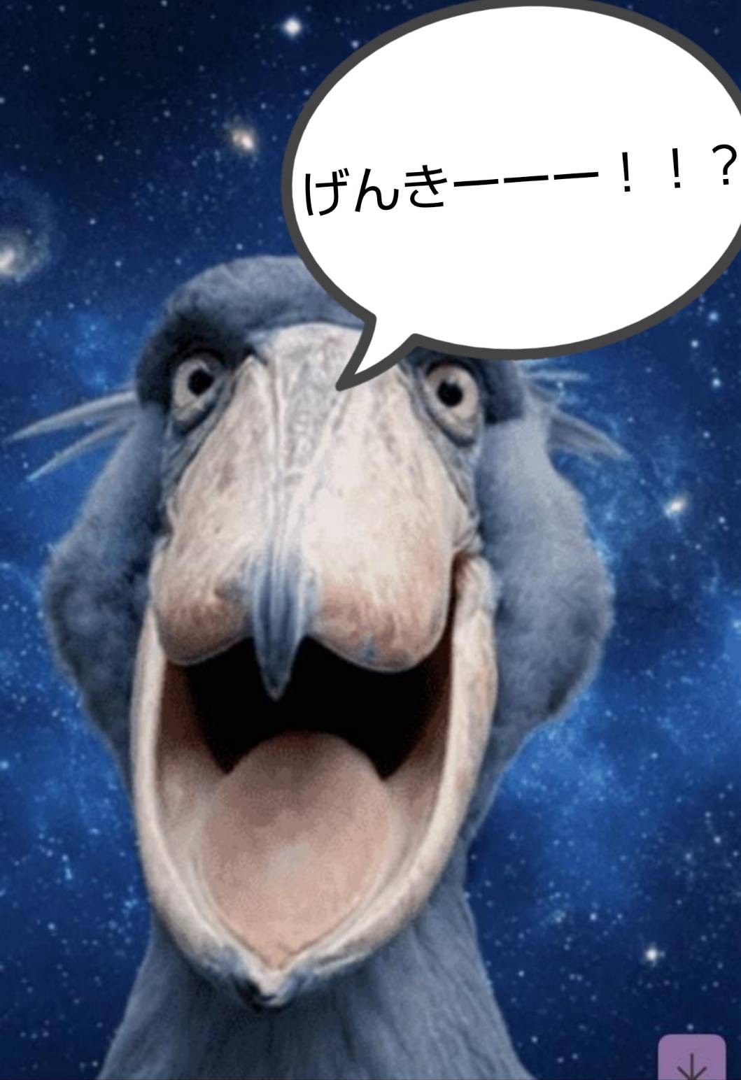 元気ー？？初見様◎
