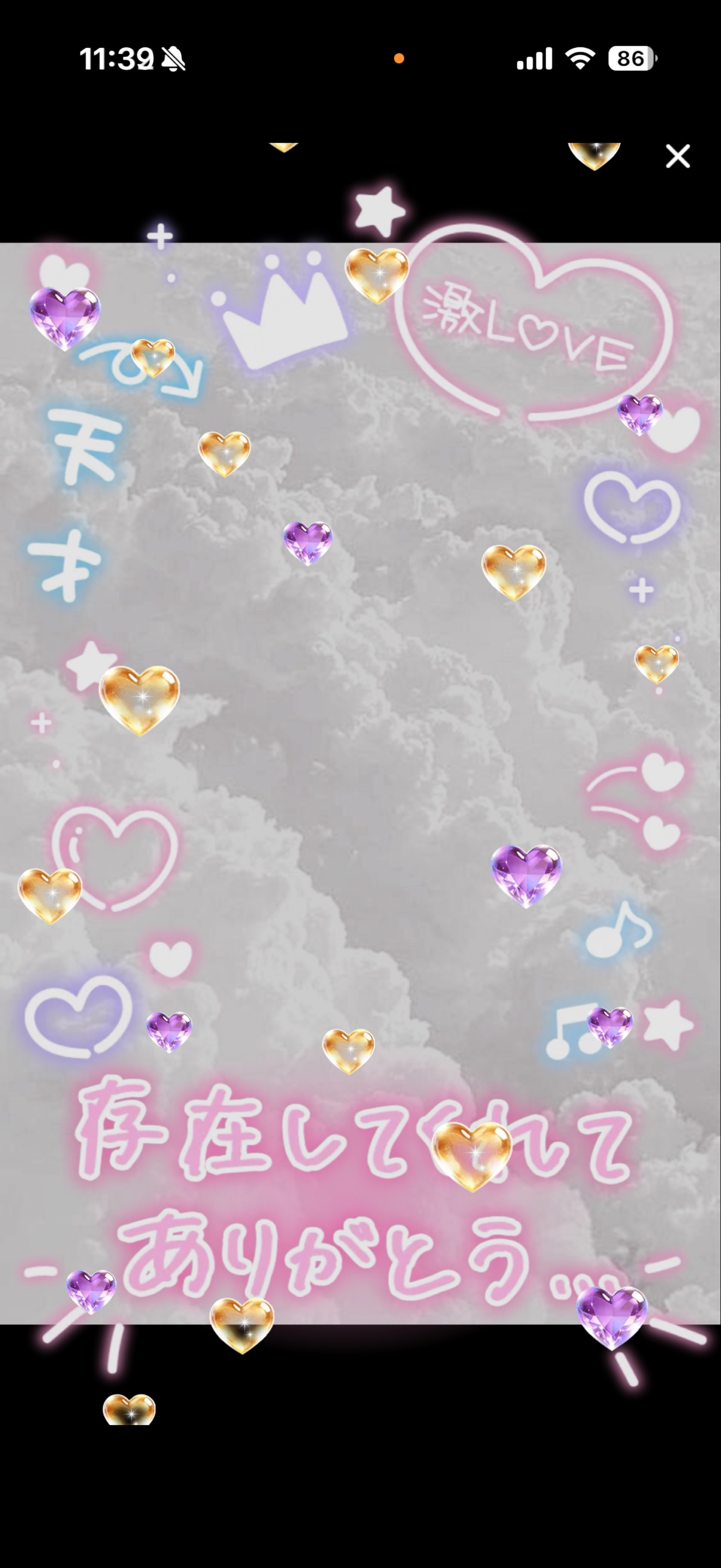 あ、おきましたよ~