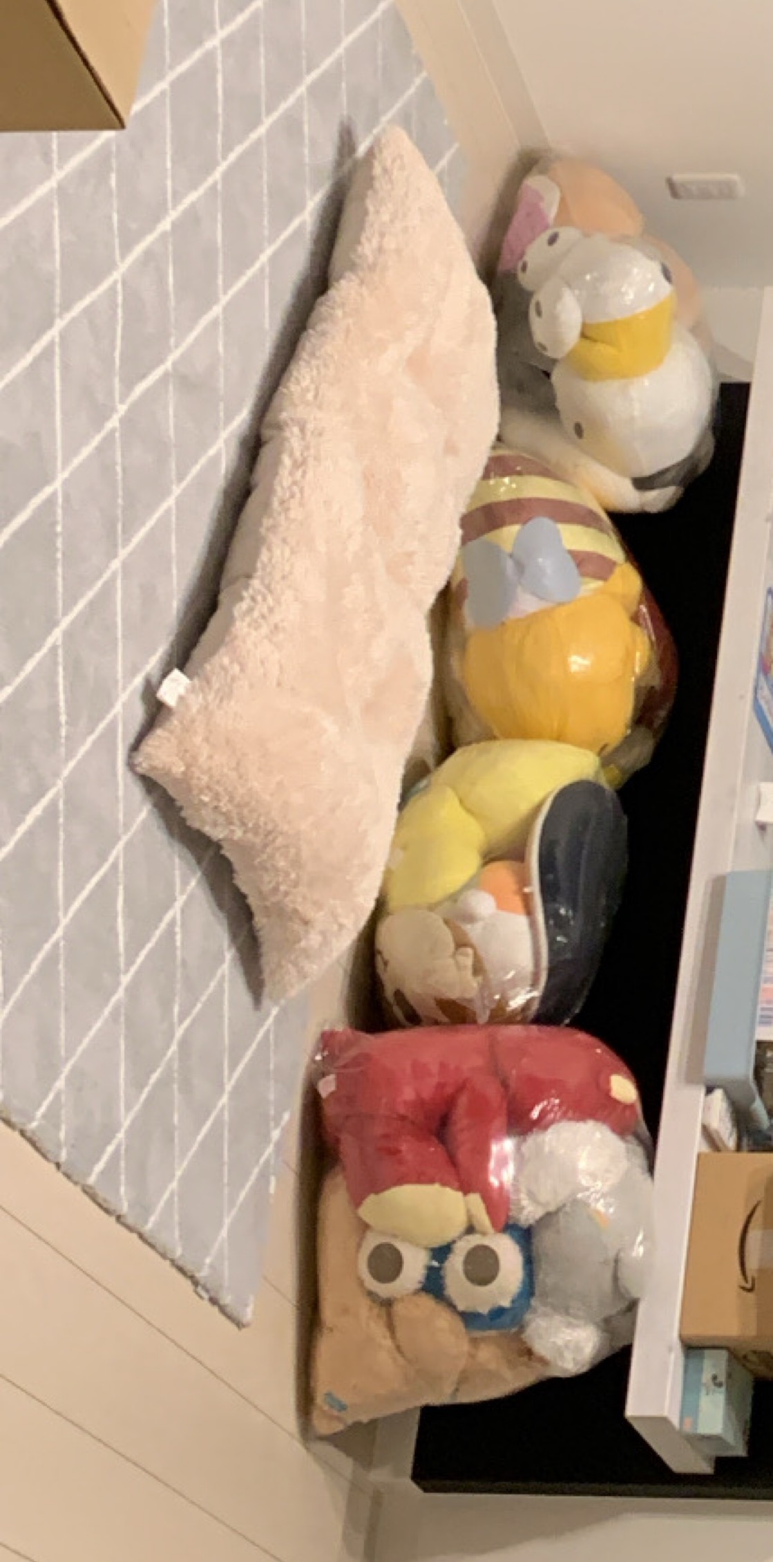 初お昼枠だよ