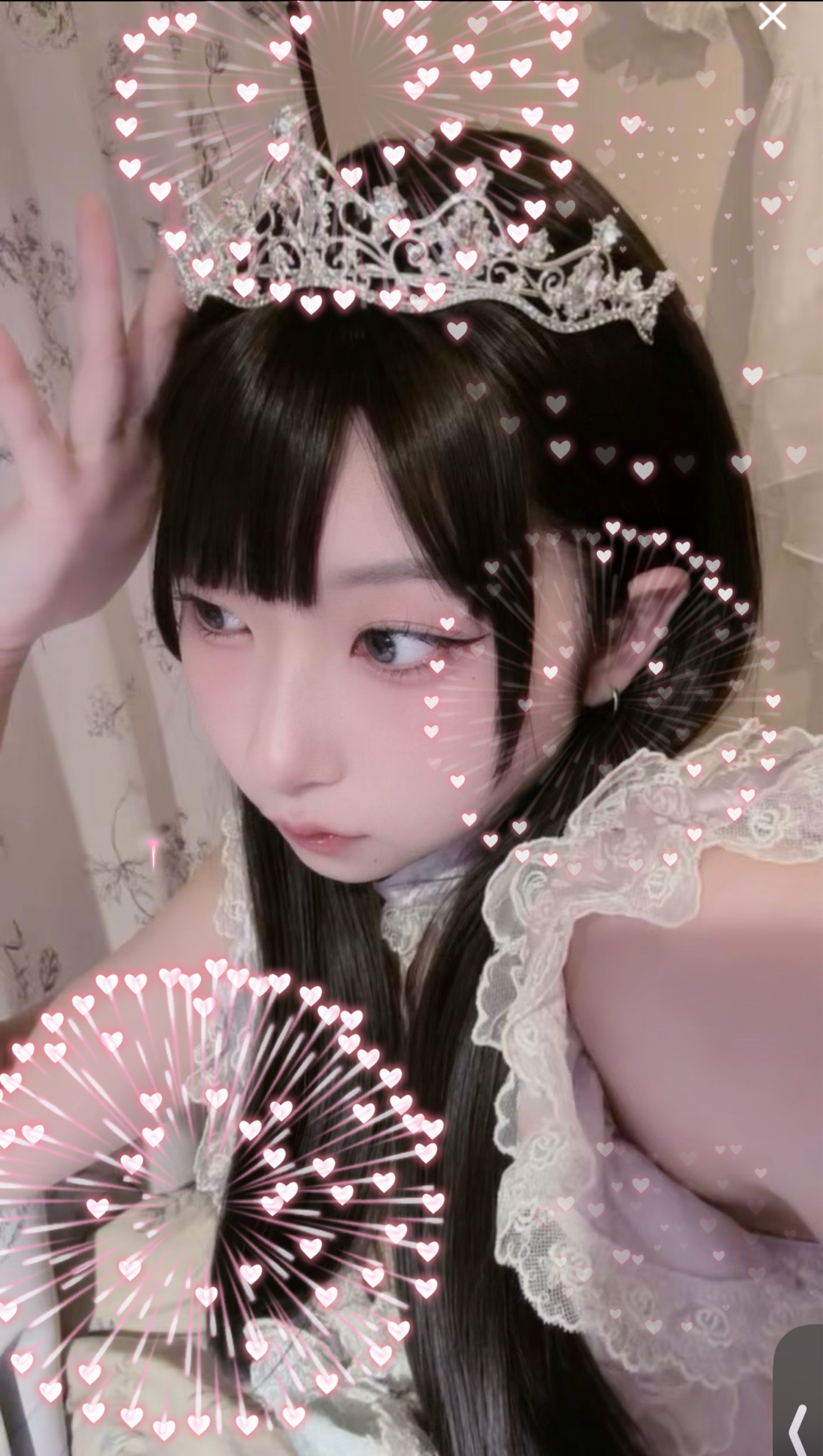 吾輩は