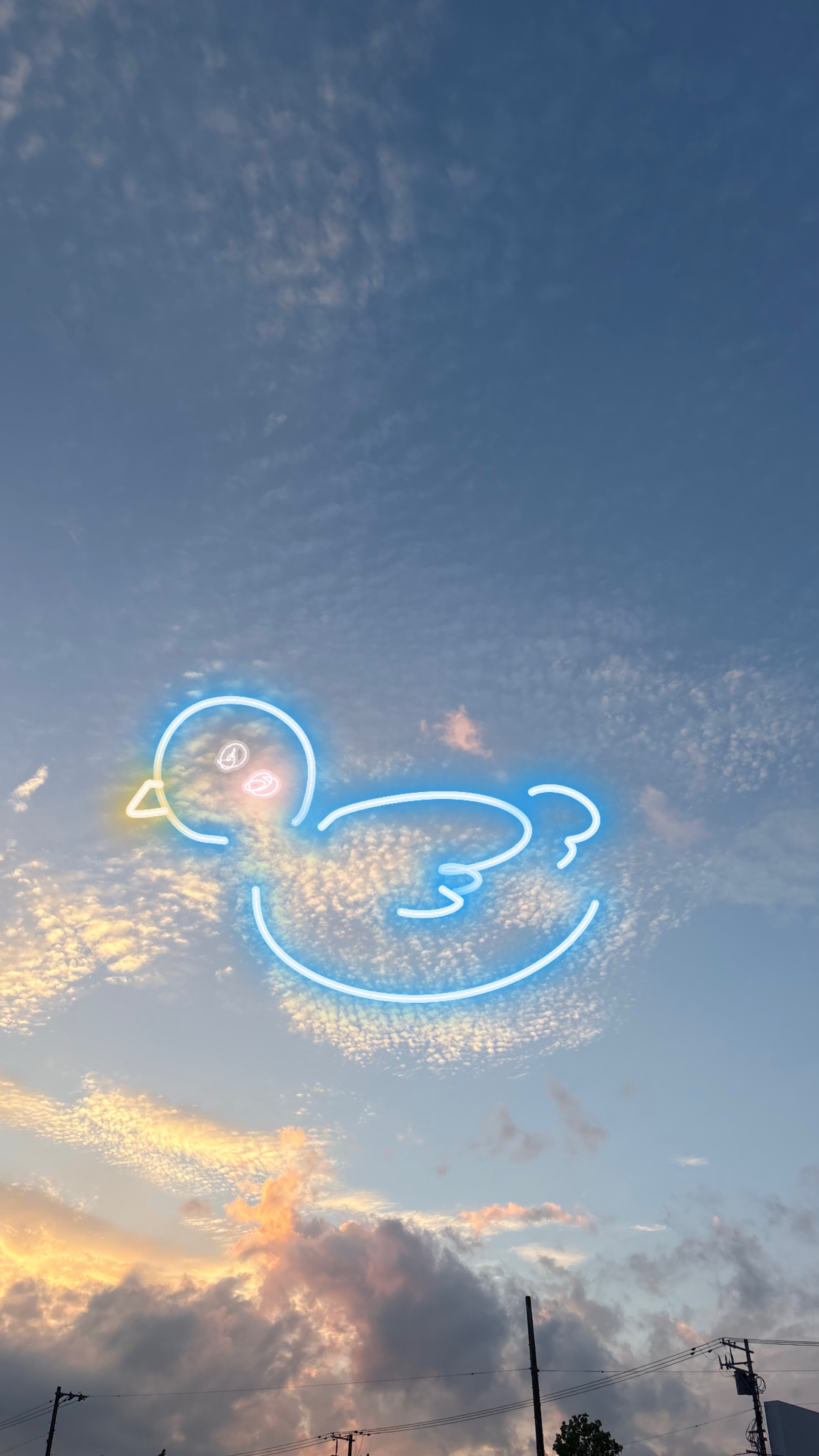 オハピヨピヨ〜ん🦢