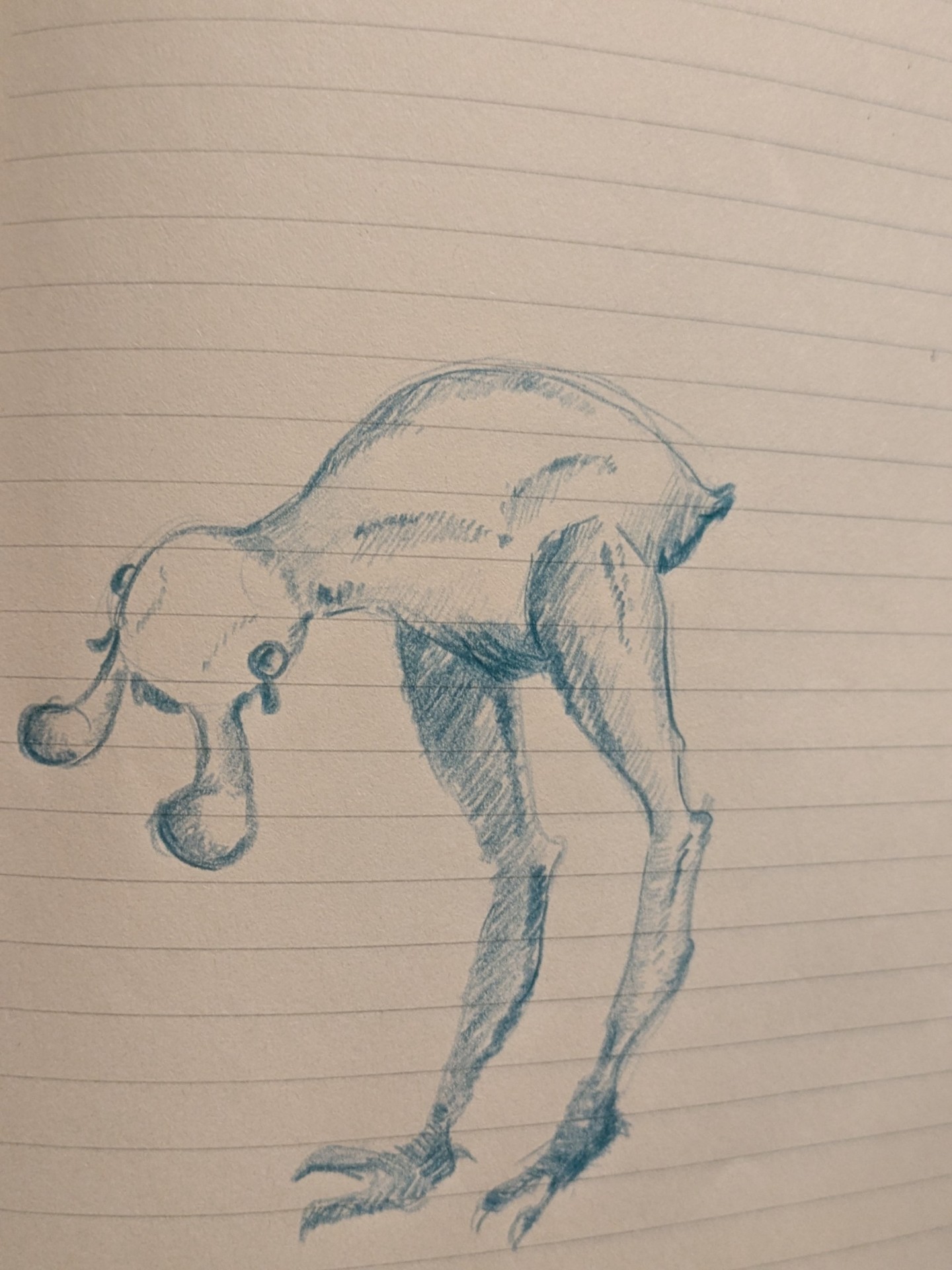 不思議生物タマメンコ。