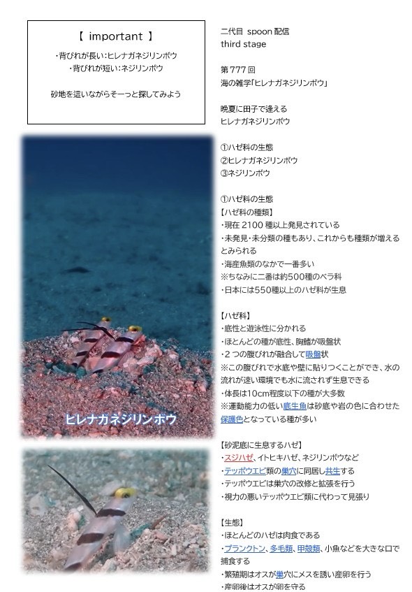 第777回／ヒレネジ／潜〇初◎