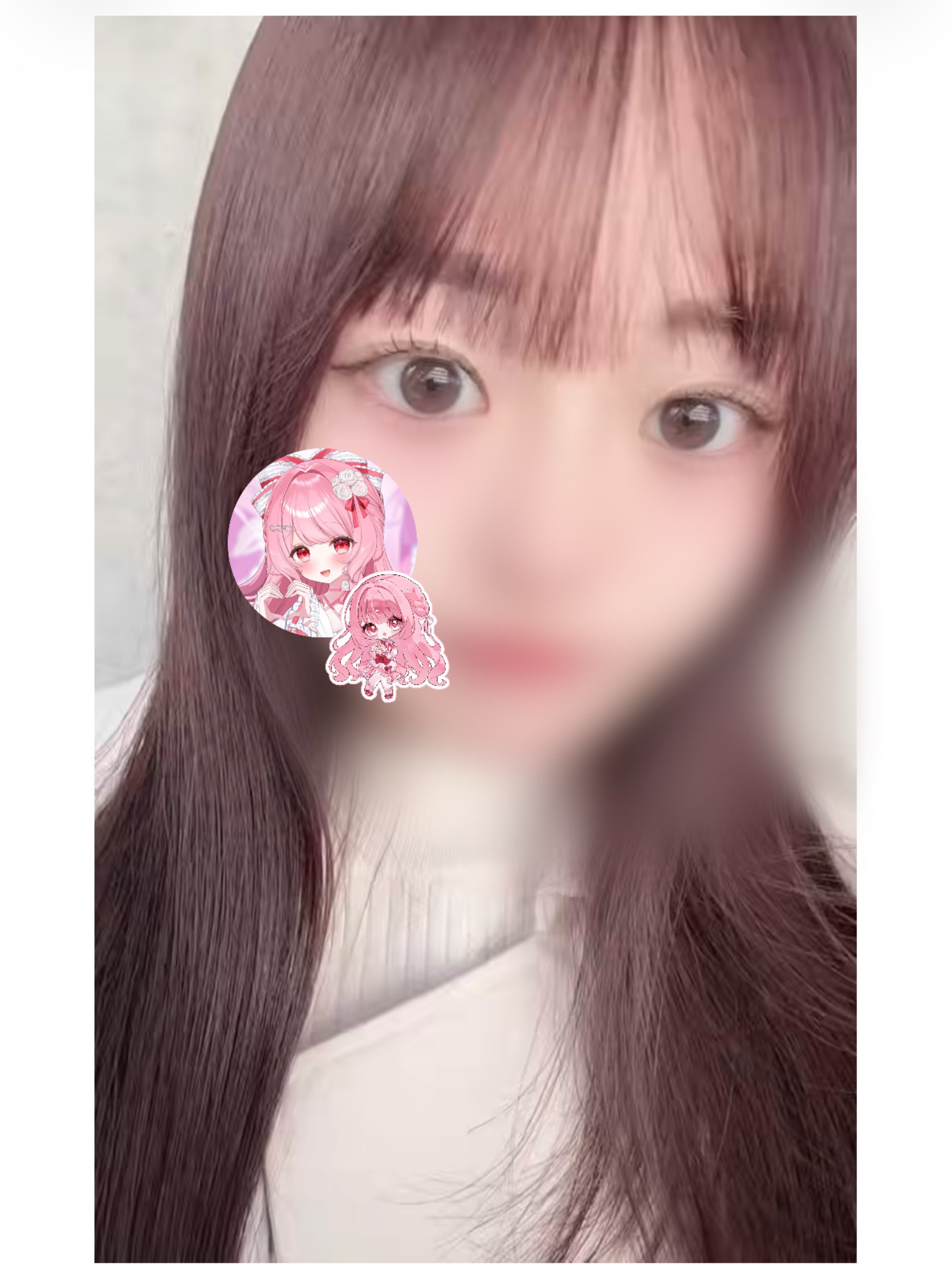 貴方に癒しと安眠を🌙