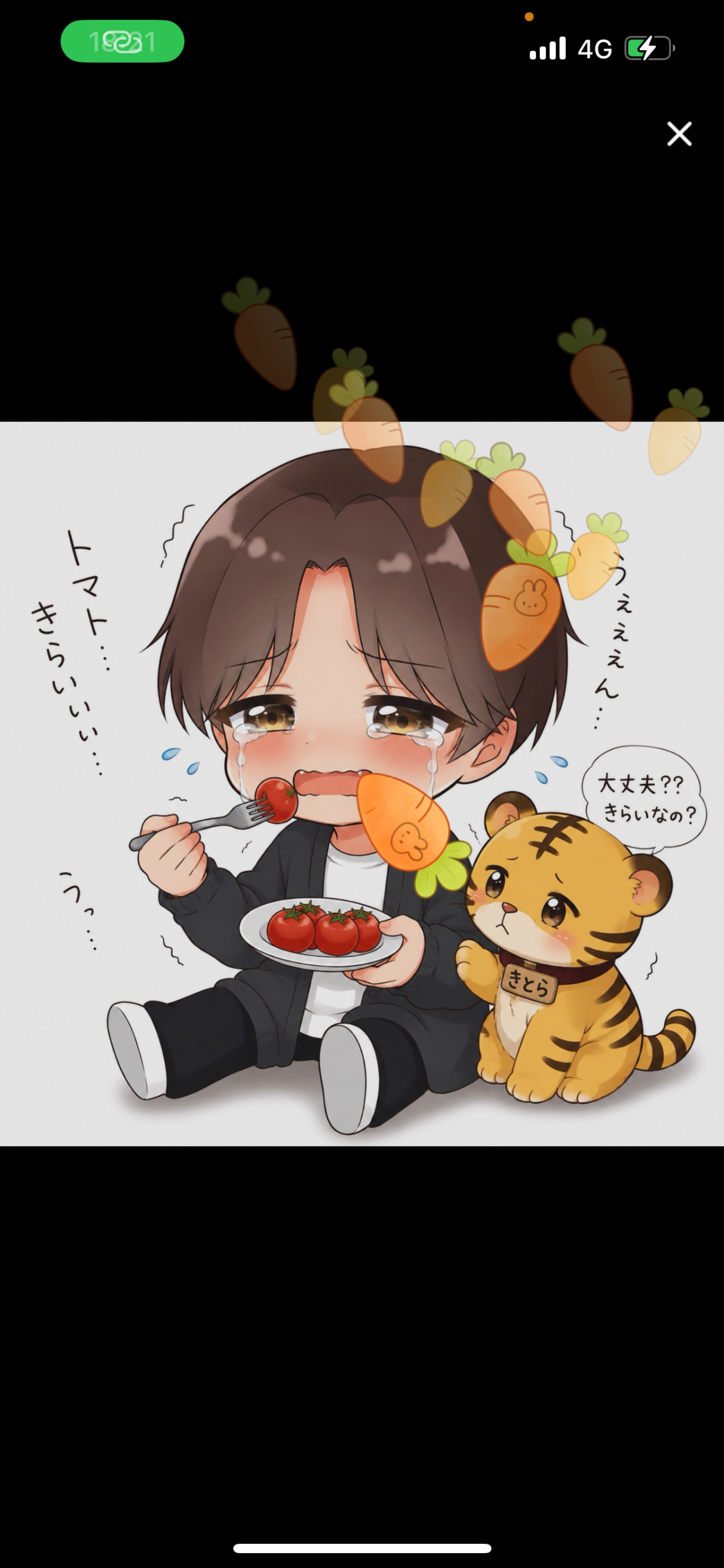 初見さん〇 こんにちは🐯