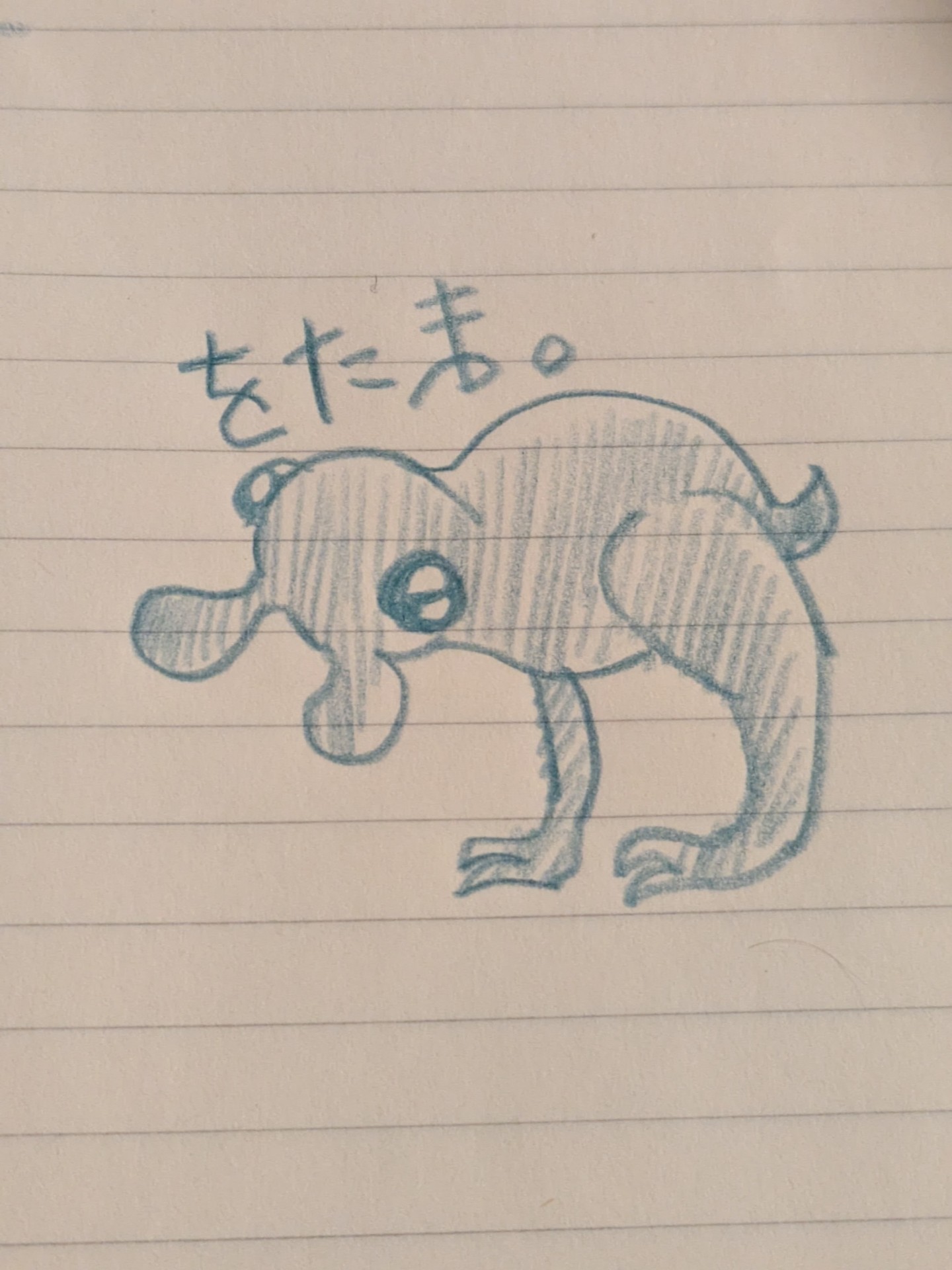 レズネキは新規を歓迎したE