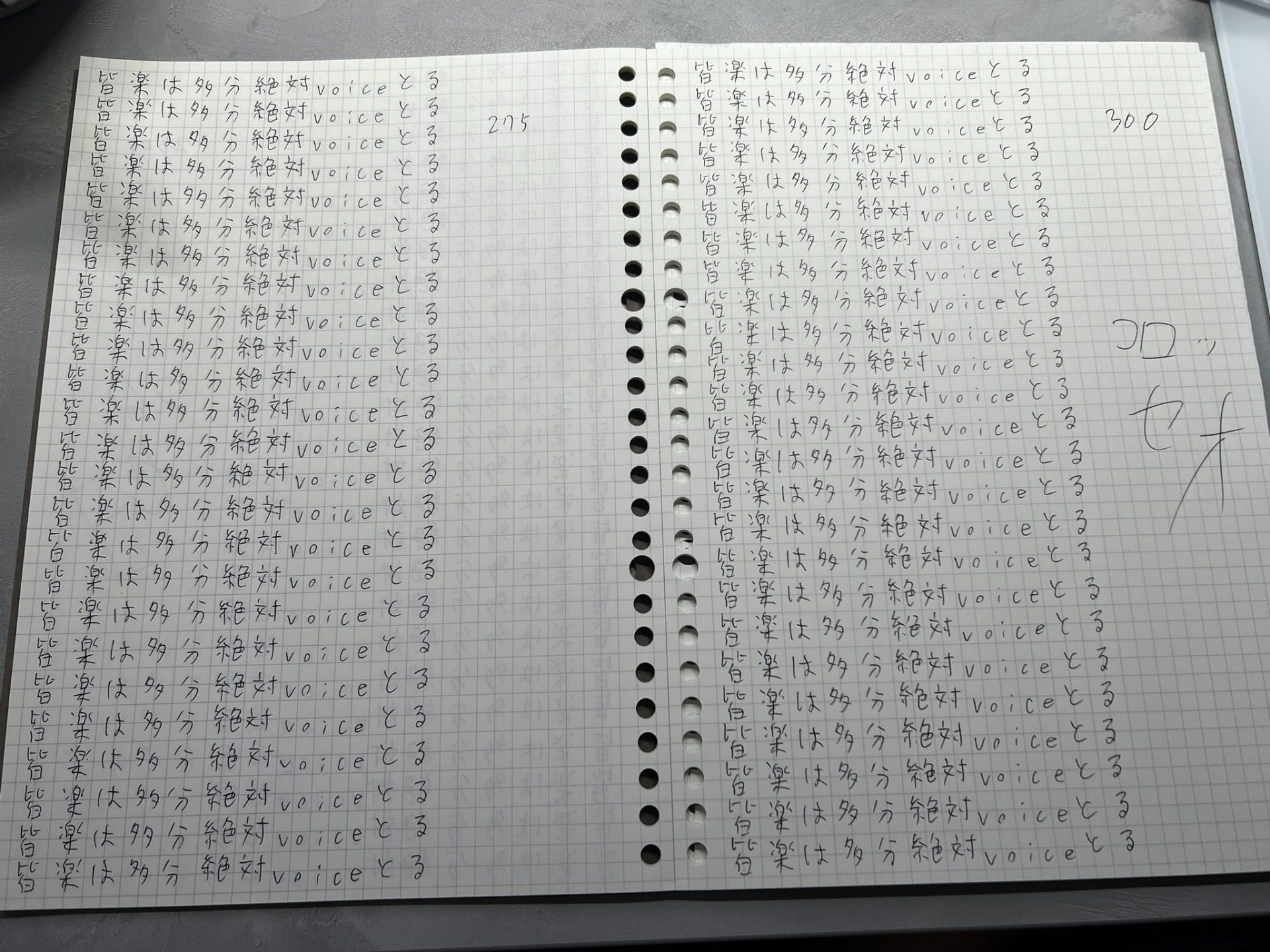 336回書き取るまで終われない枠3
