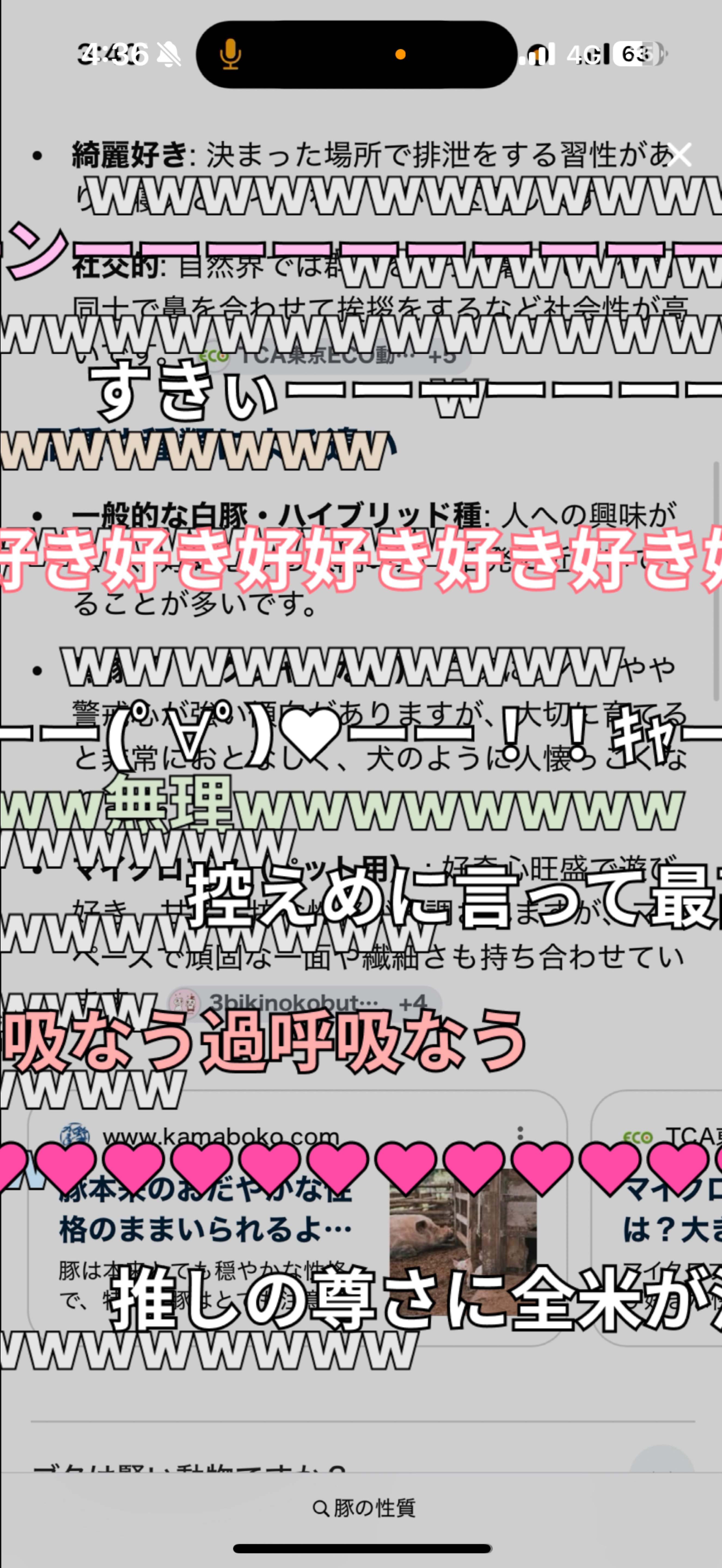 豚の性質について【豚小屋】