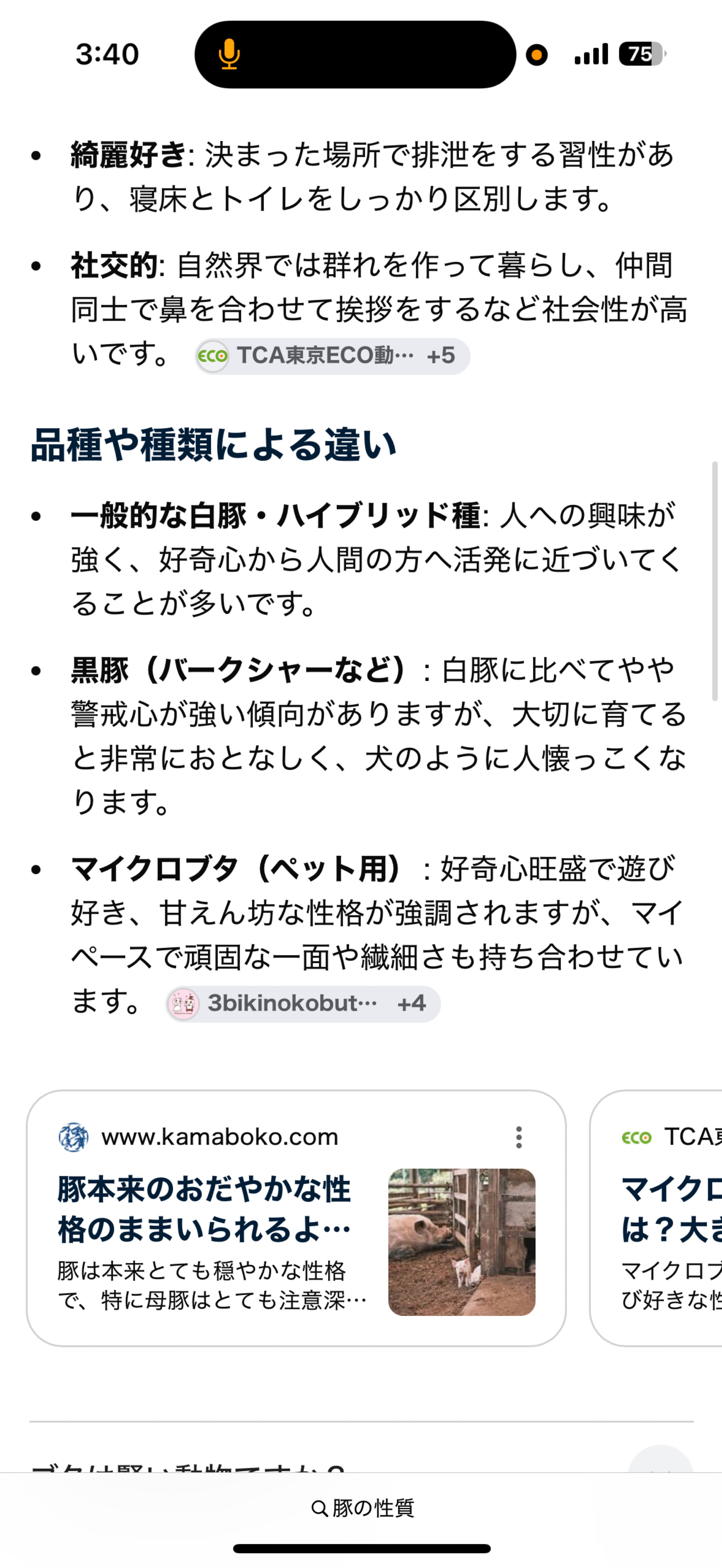 豚の性質について【豚小屋】