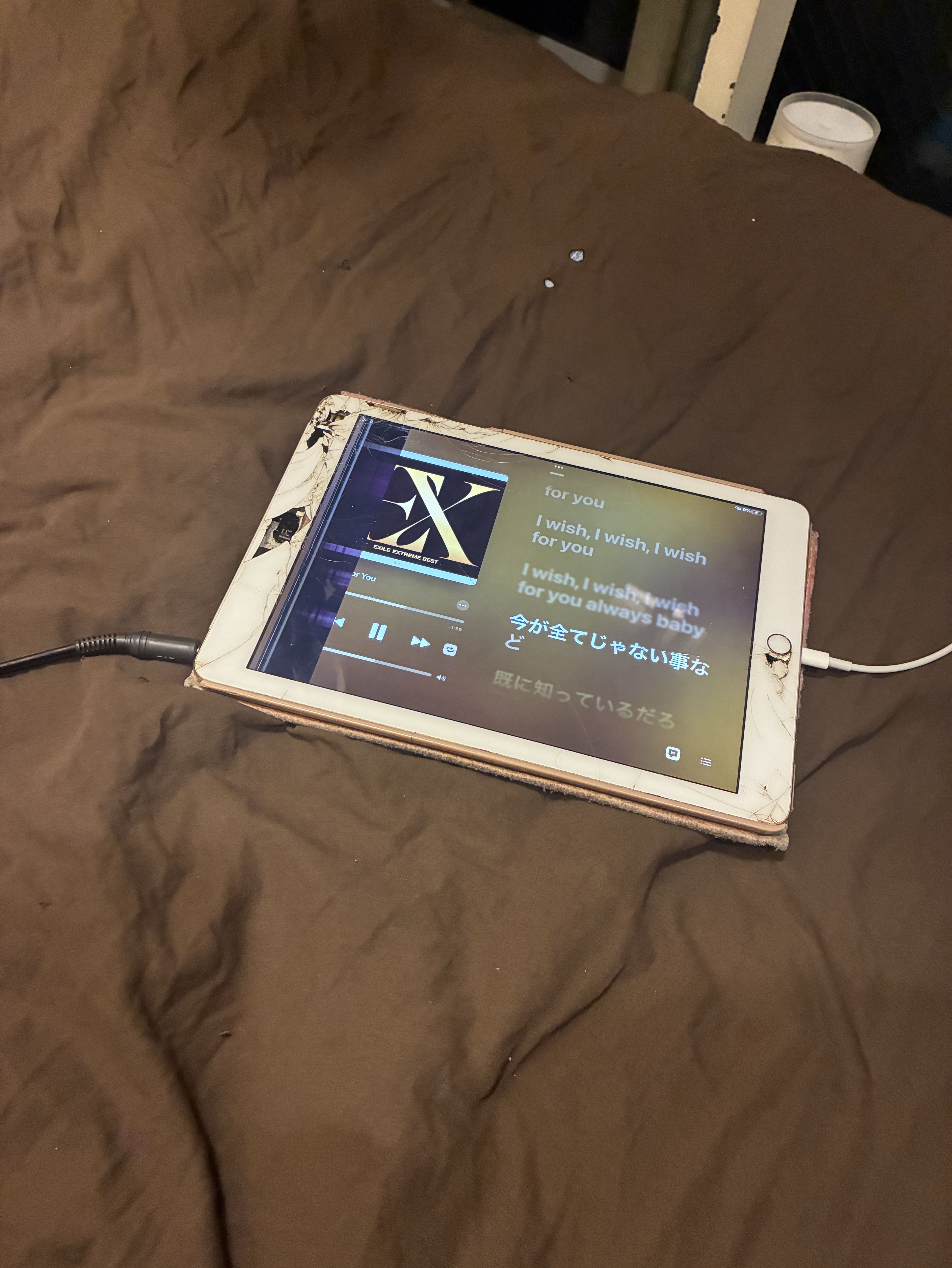 定時枠 2缶お疲れ様🐯