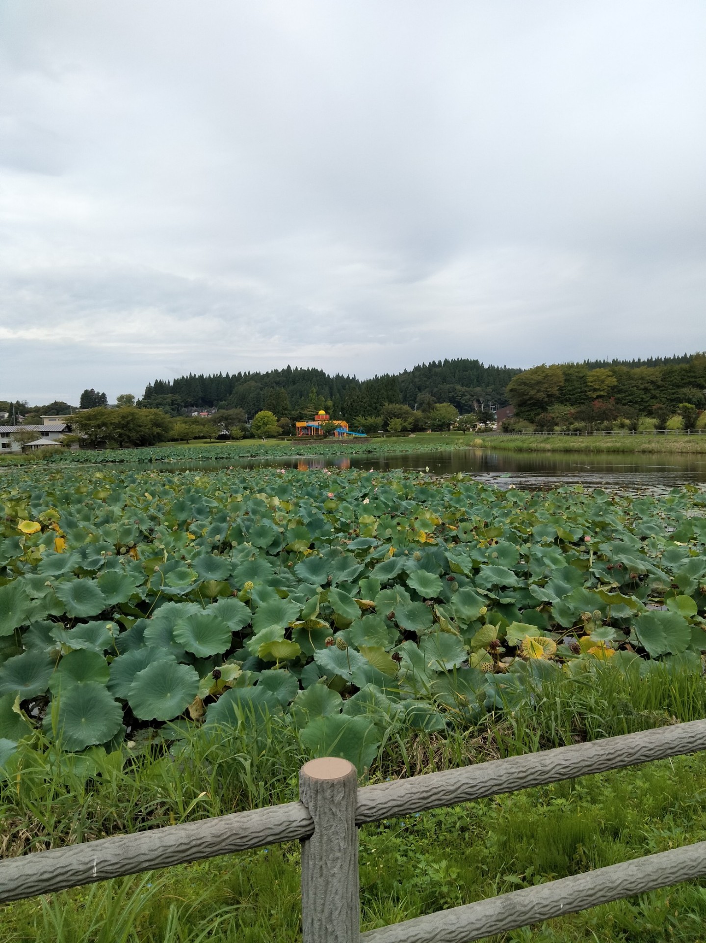 秋田弁 テクテク配信
