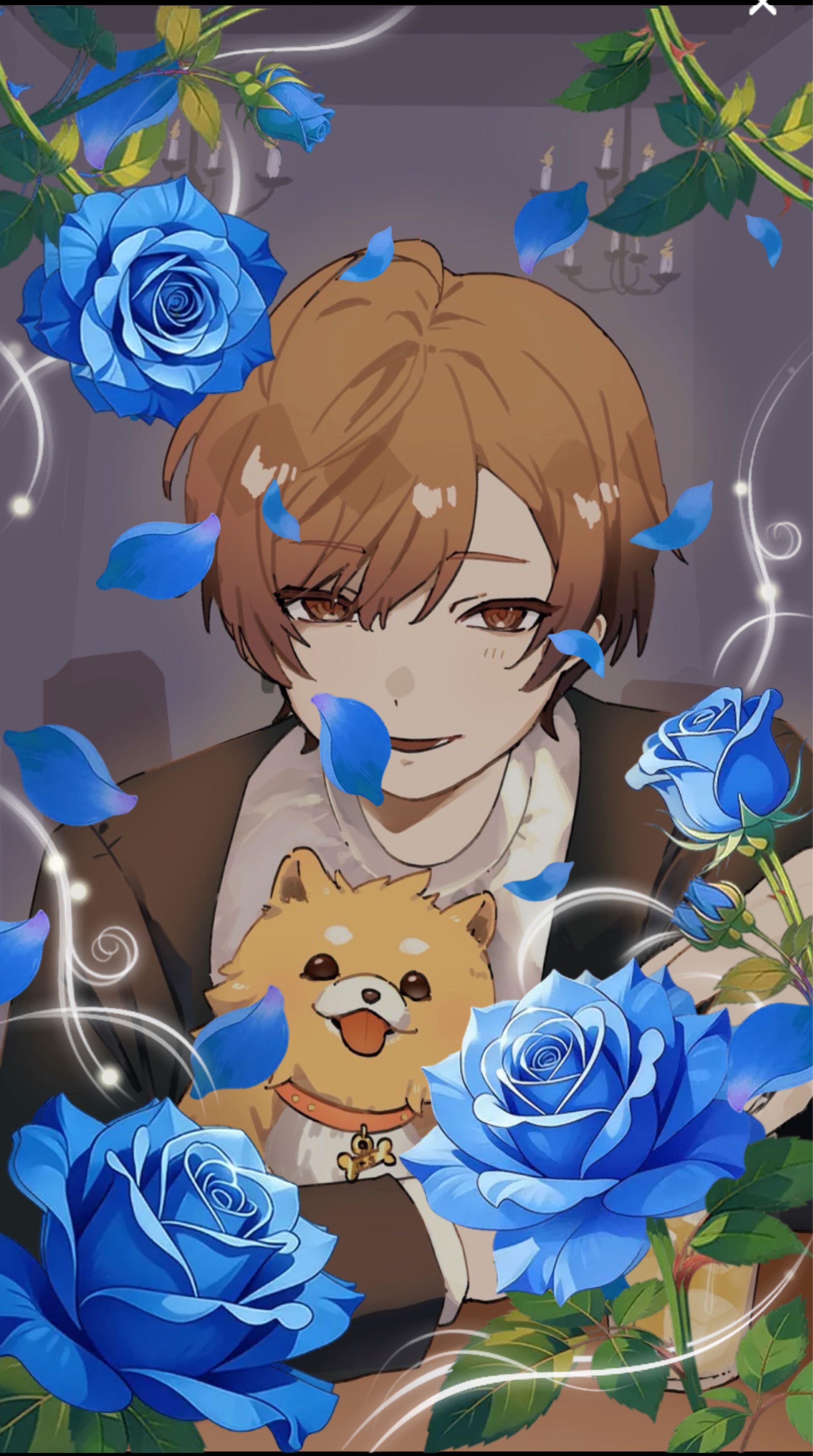 誕生日です🎂🐥⸒⸒