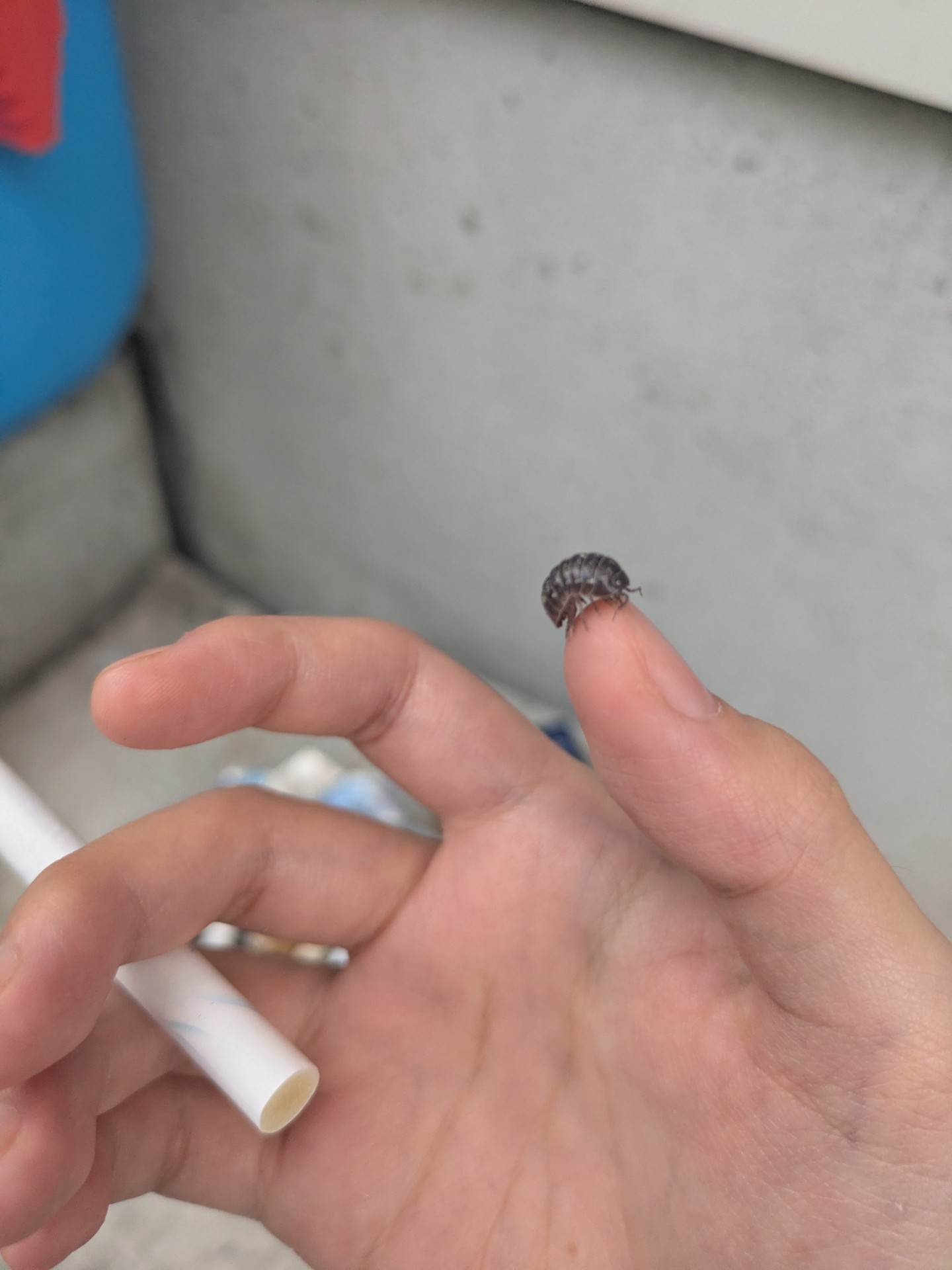レズネキは新規を歓迎したE