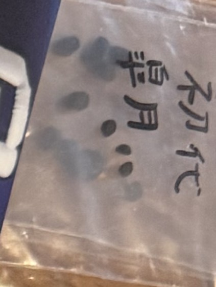 京都弁のお時間