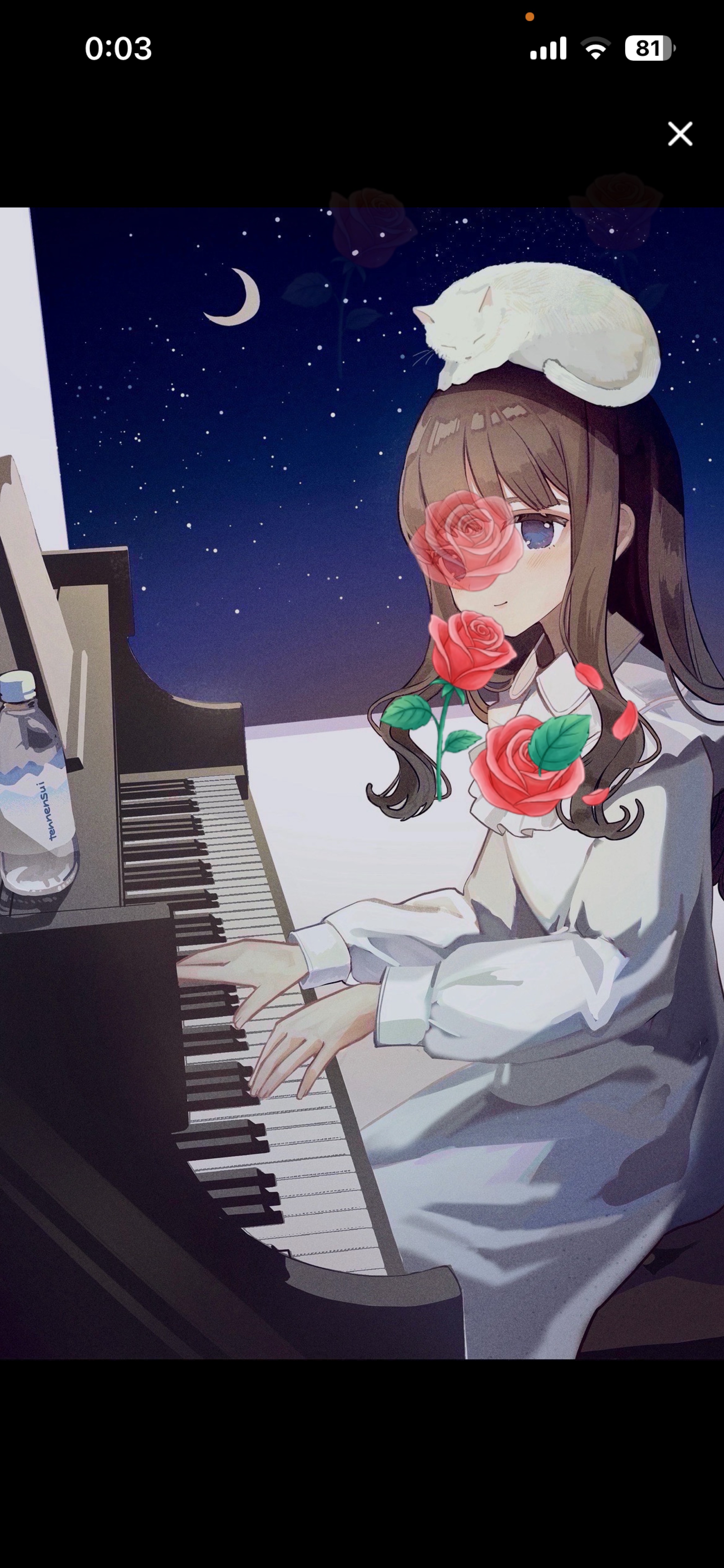 眠れる水分補給🫧
