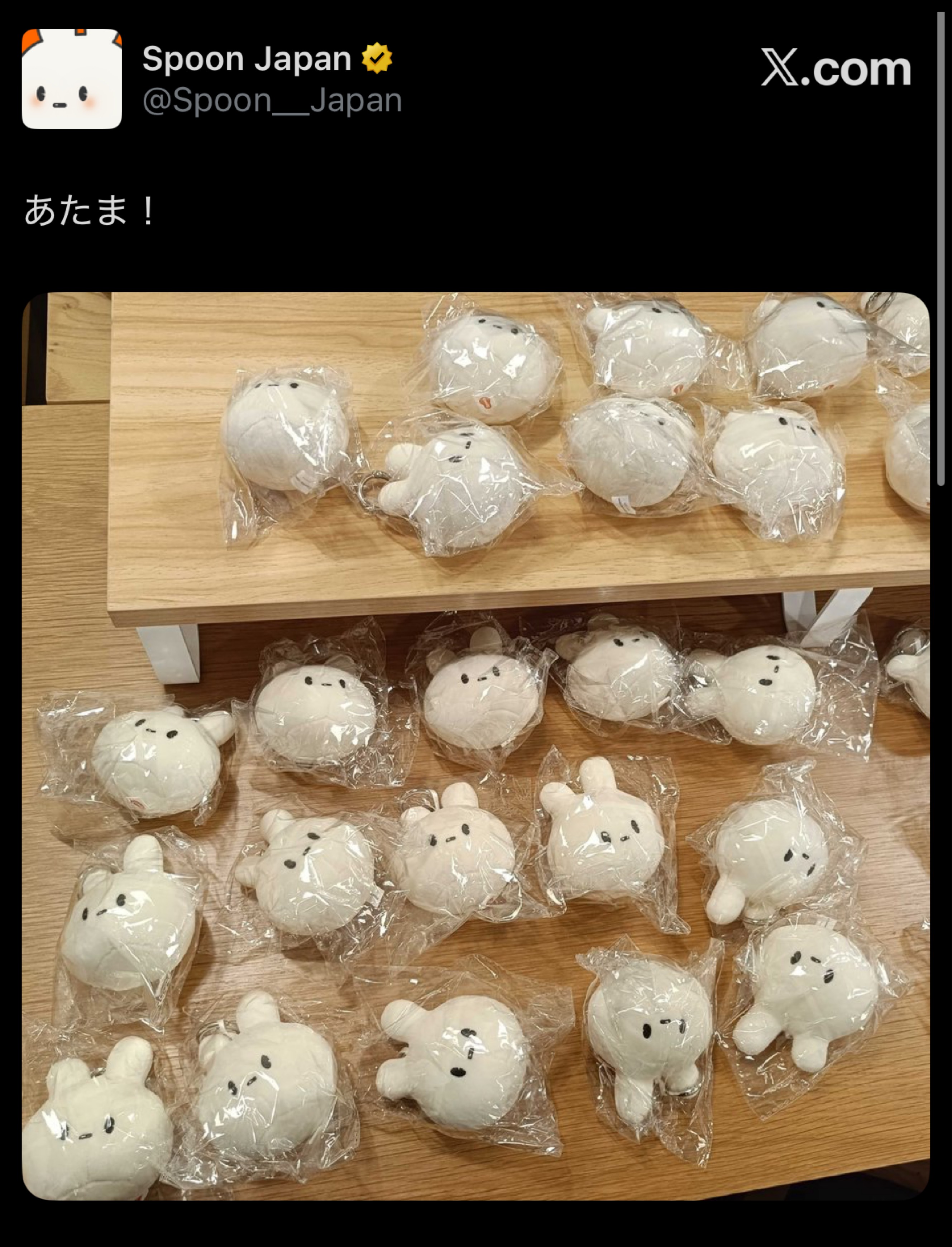 今夜はほいや🌙