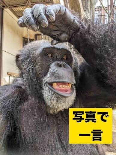 誰でも歓迎❕雑談 & 大喜利😆 