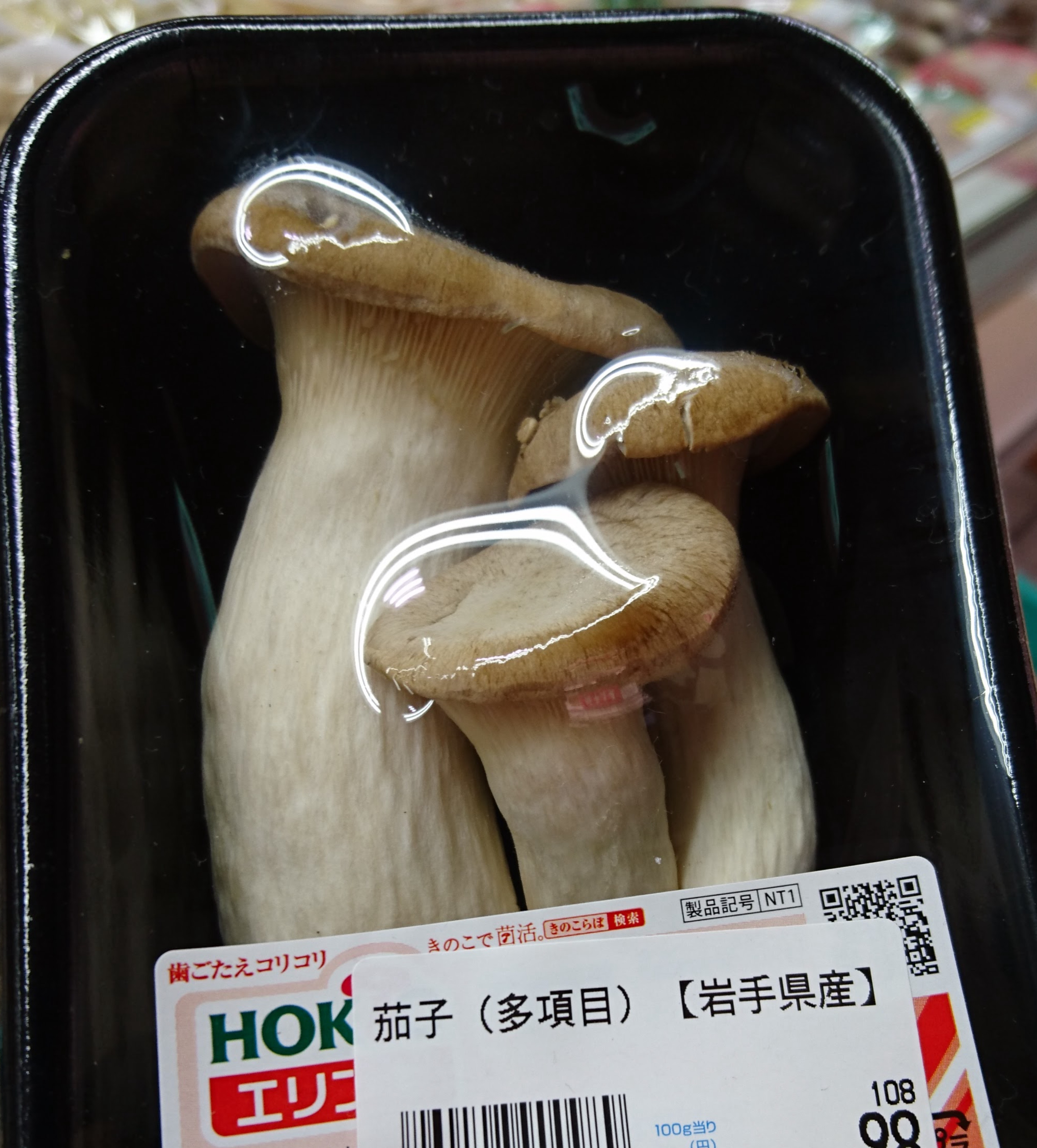 初潜🙆‍♀️グレートな朝‼️