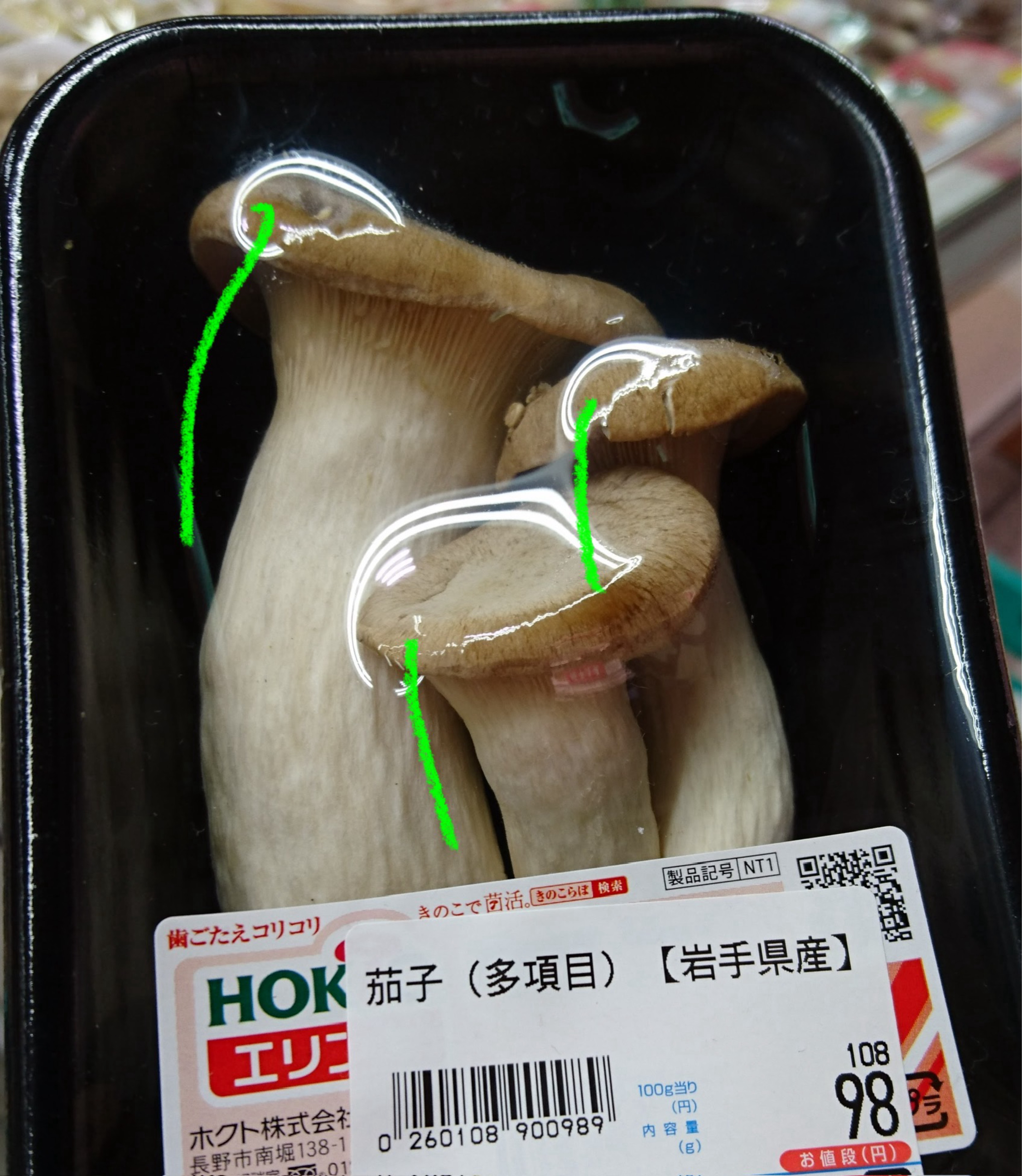初潜🙆‍♀️グレートな朝‼️