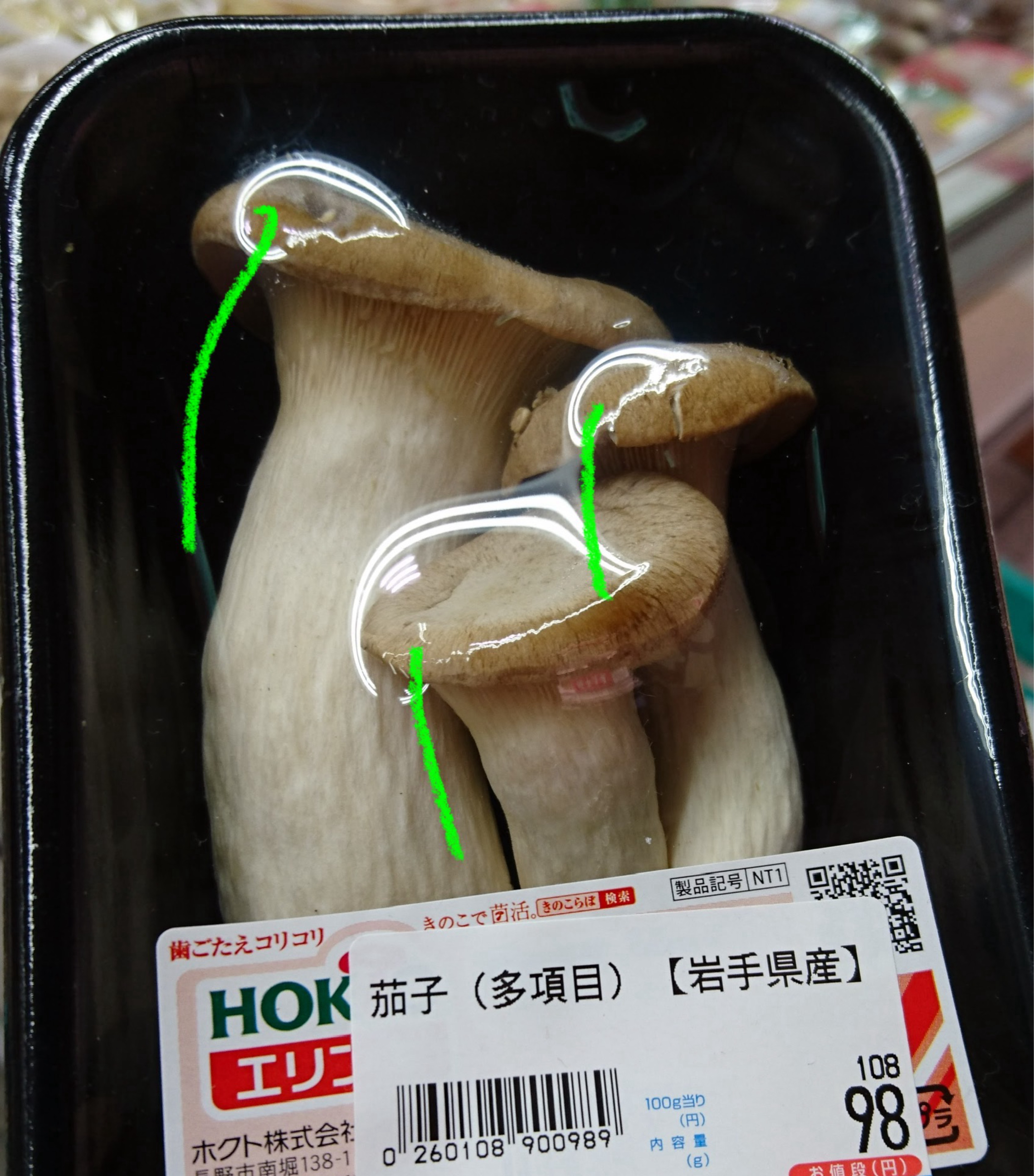 初潜🙆‍♀️グレートな朝‼️