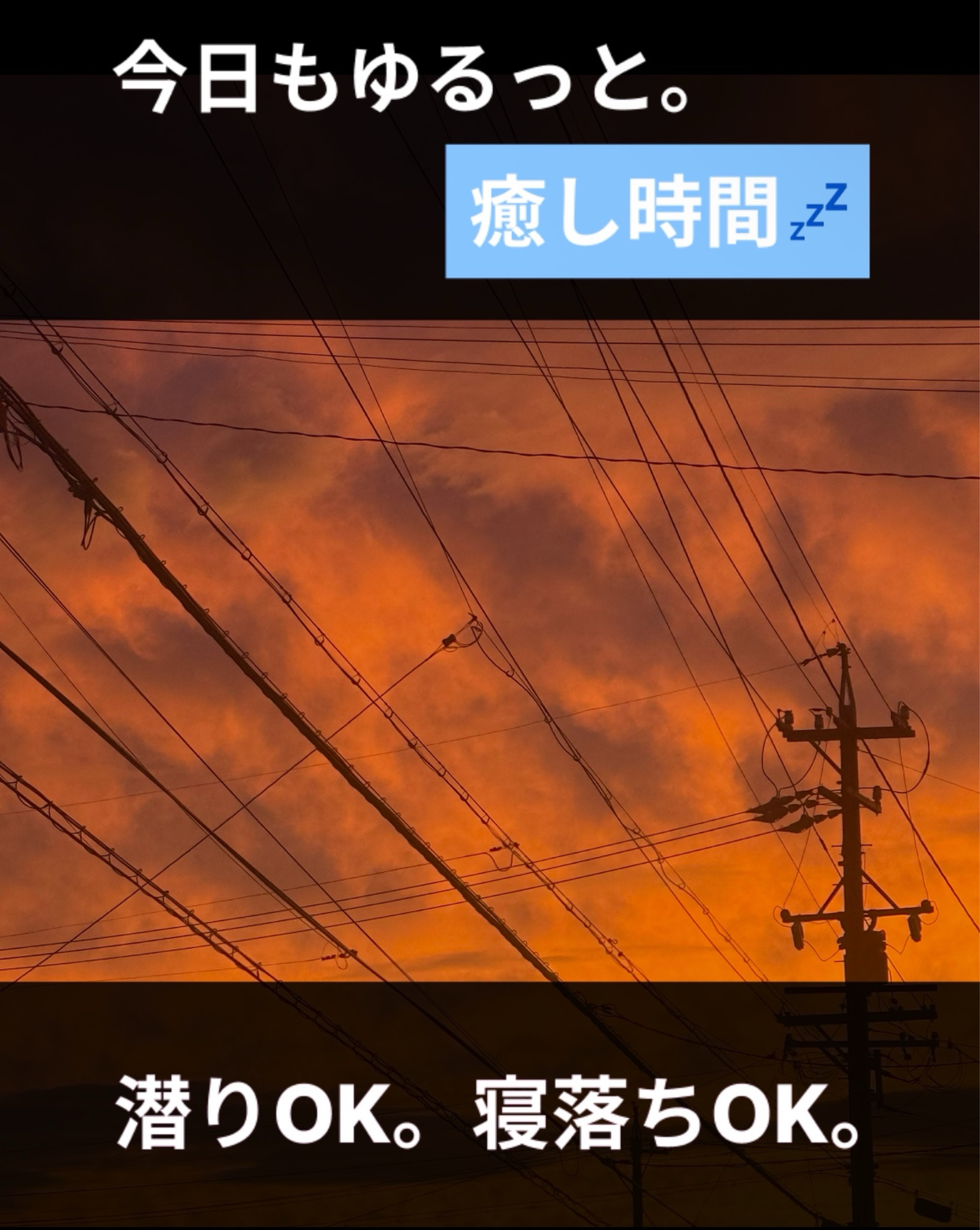 ẗ̤⚓︎ ゲリラ