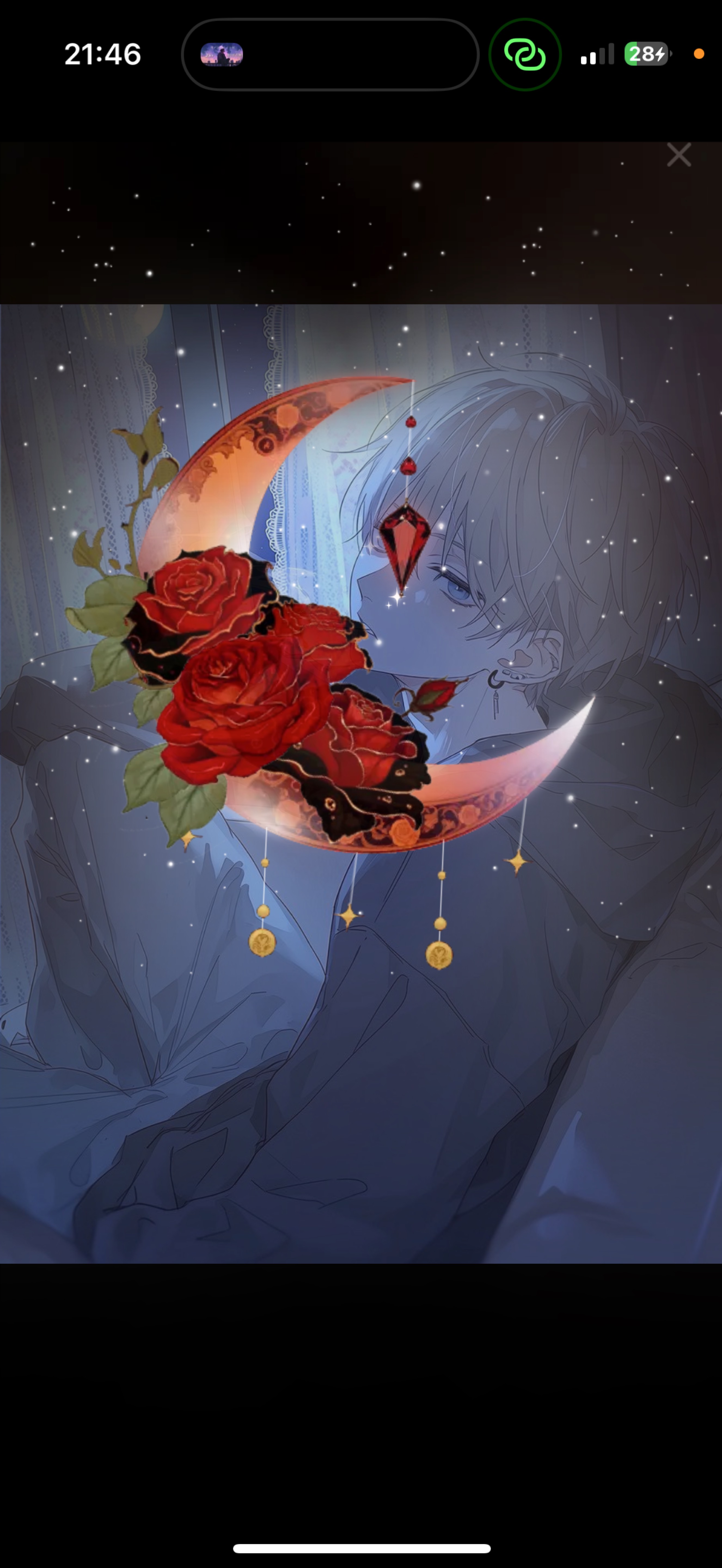 やんぞやんぞ！
