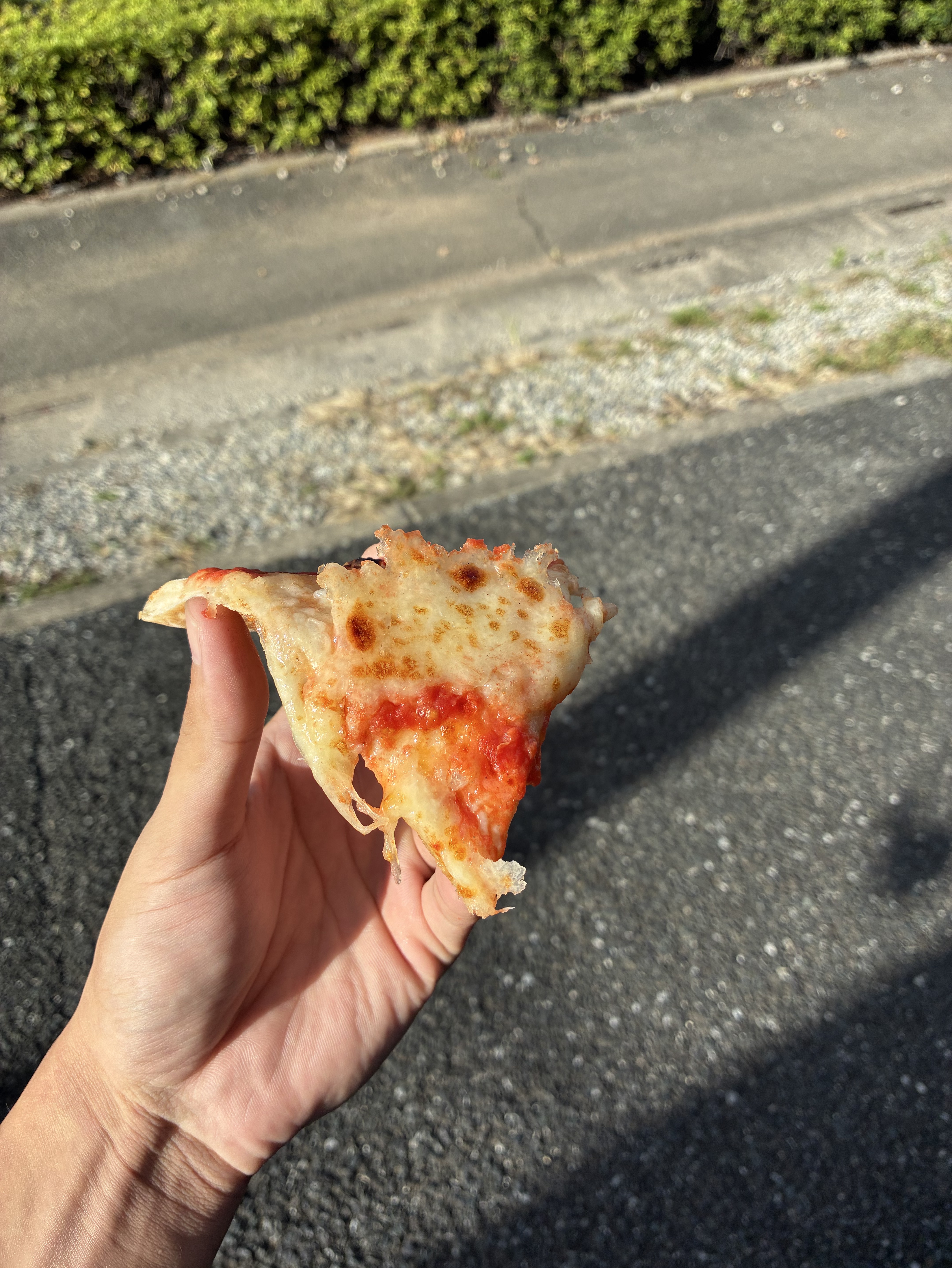 あとこはむレーンモッツァレラリレー