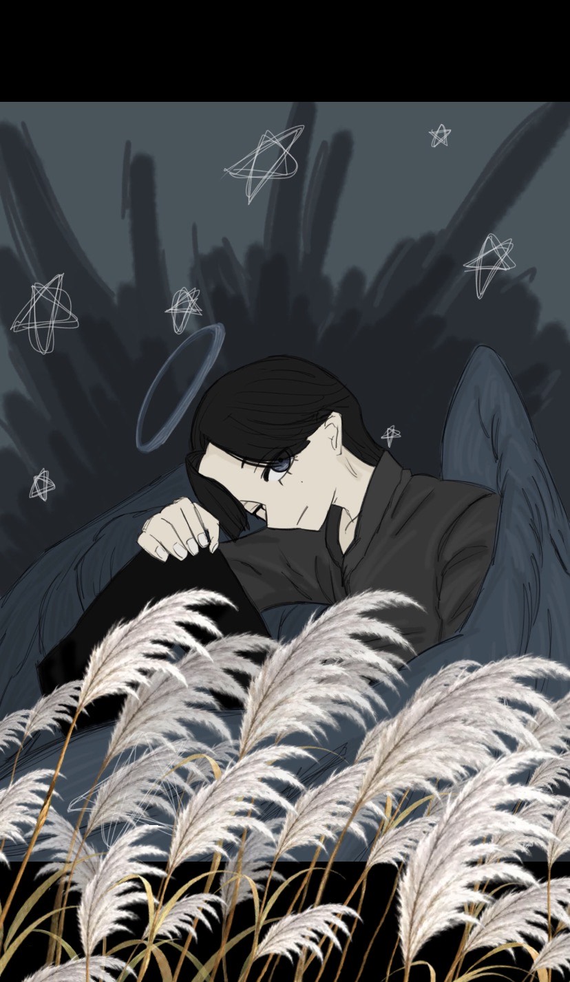 しいけ