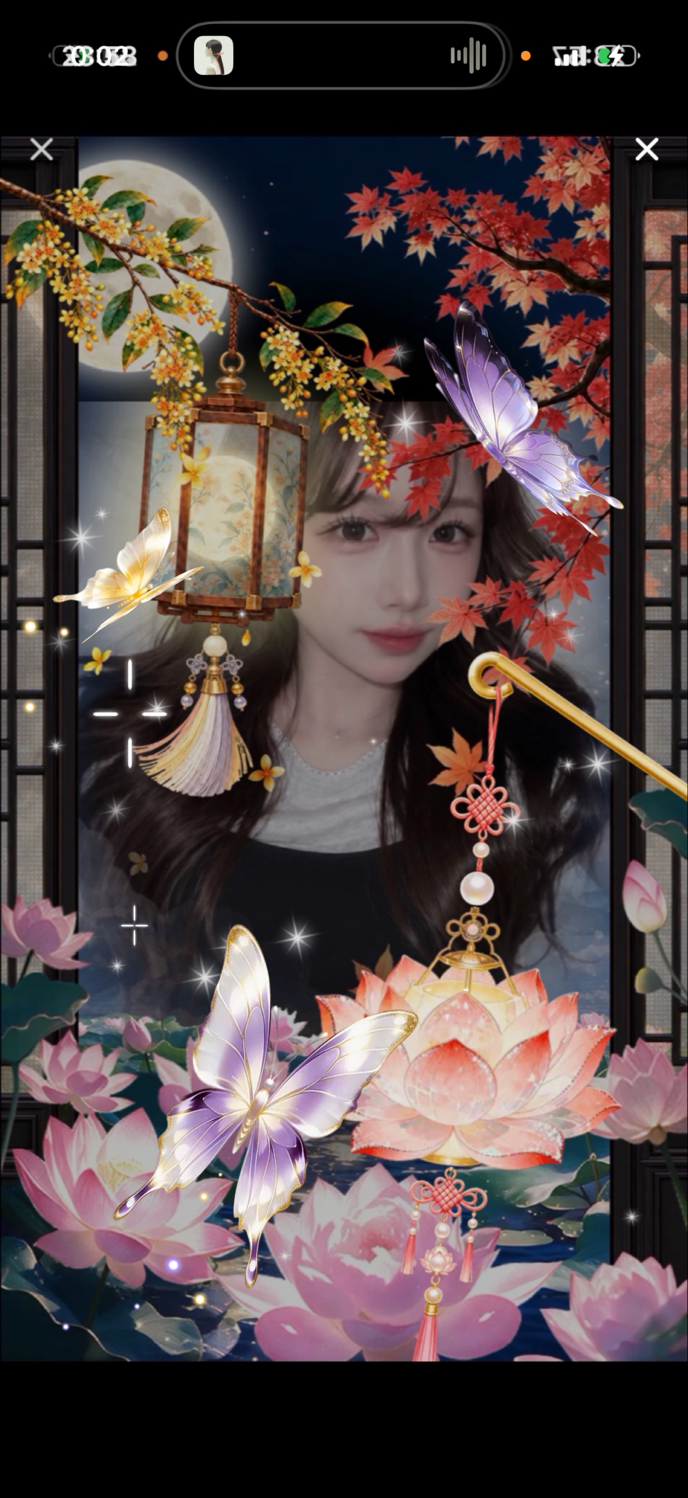 🪽‪🪽‪🪽‪