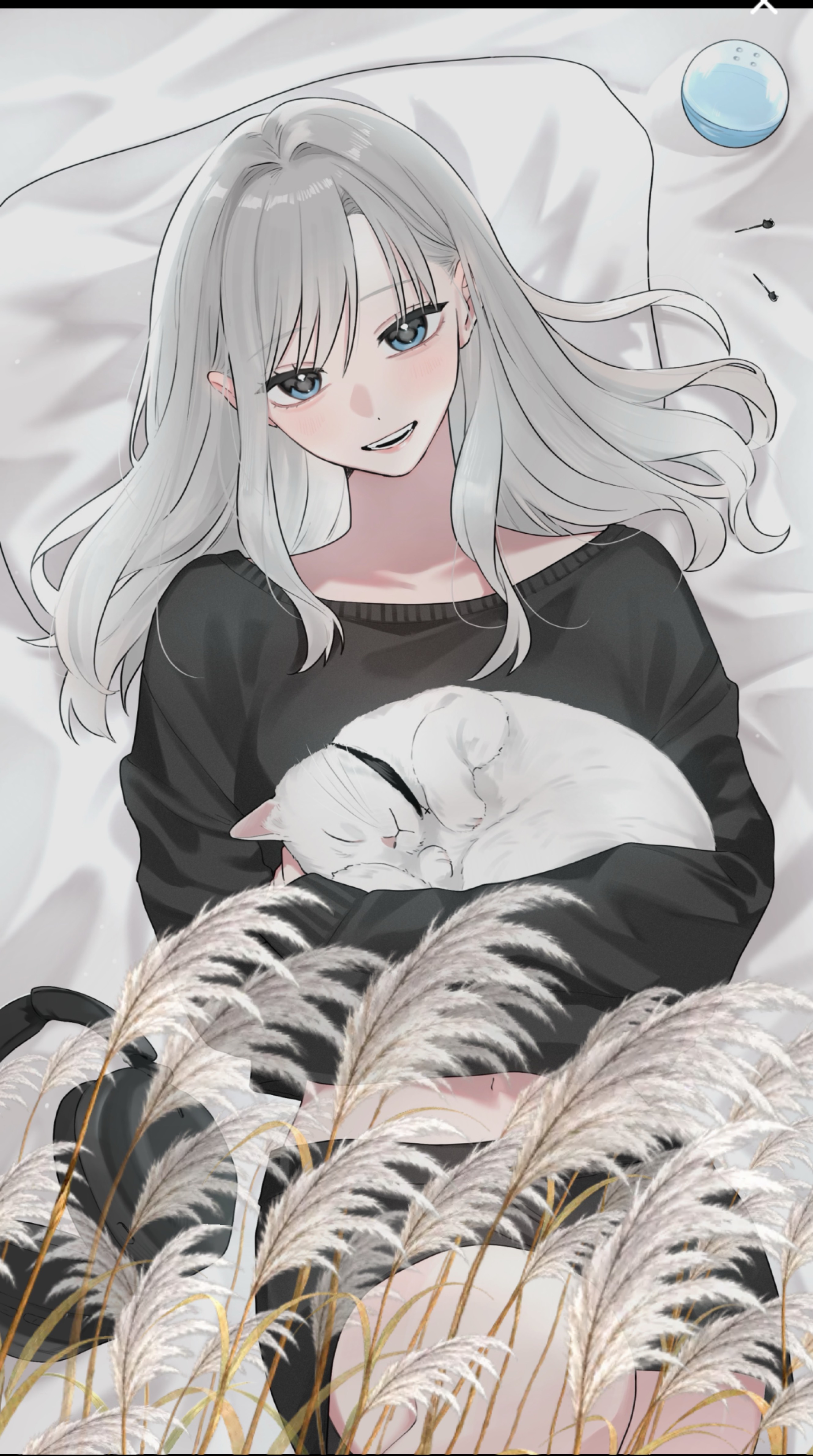 おーはよん！