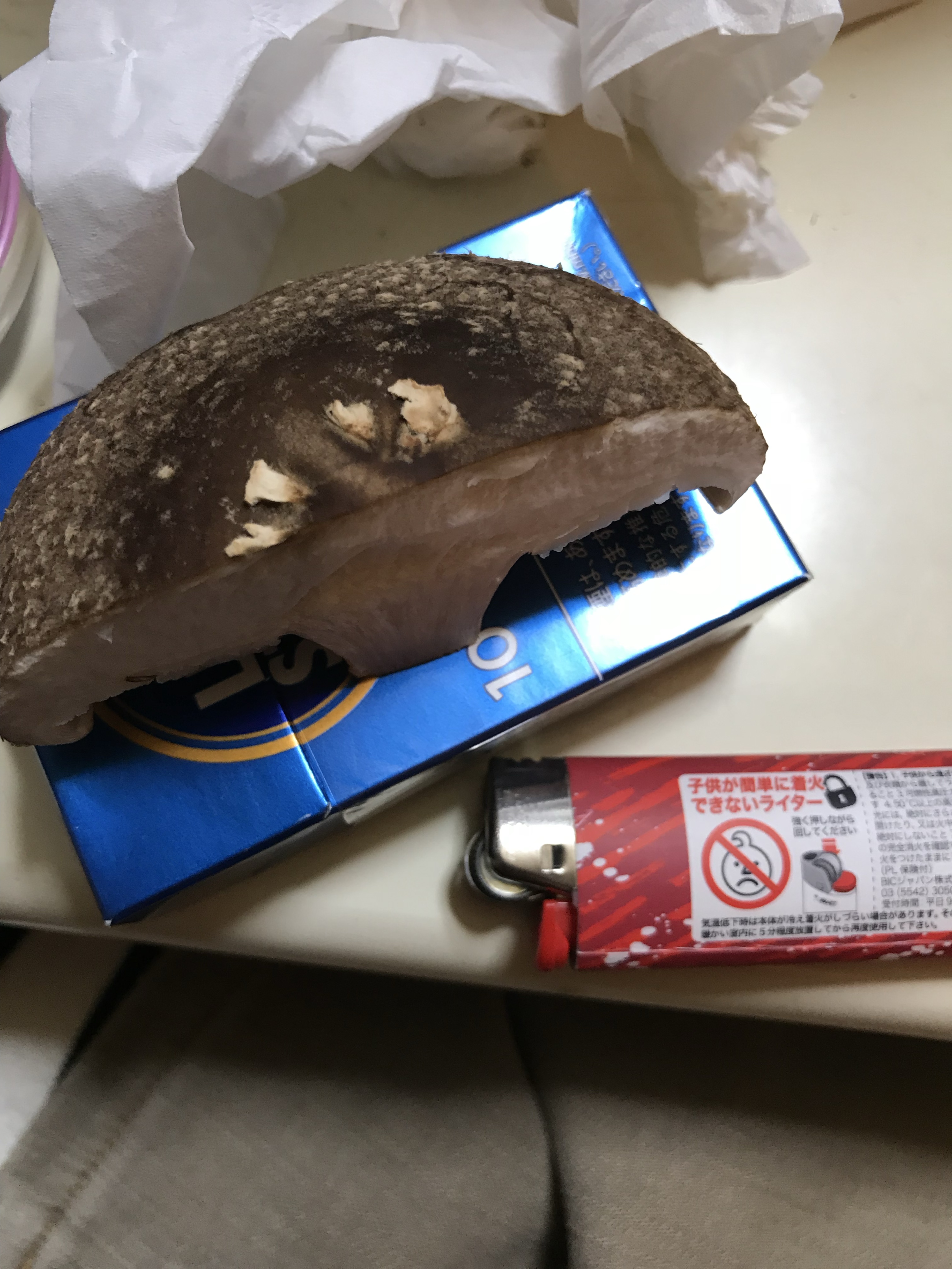 独り語り
