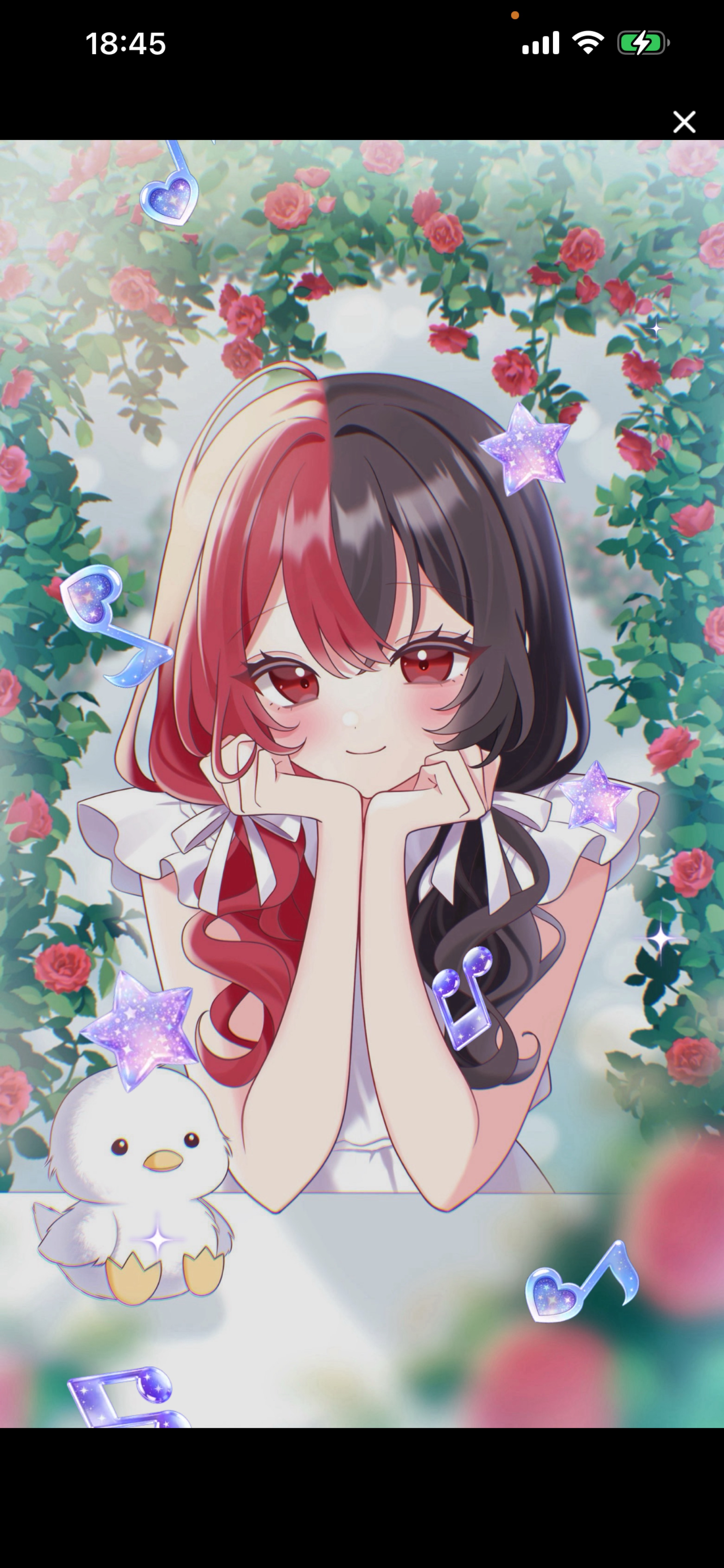 りょちゃん