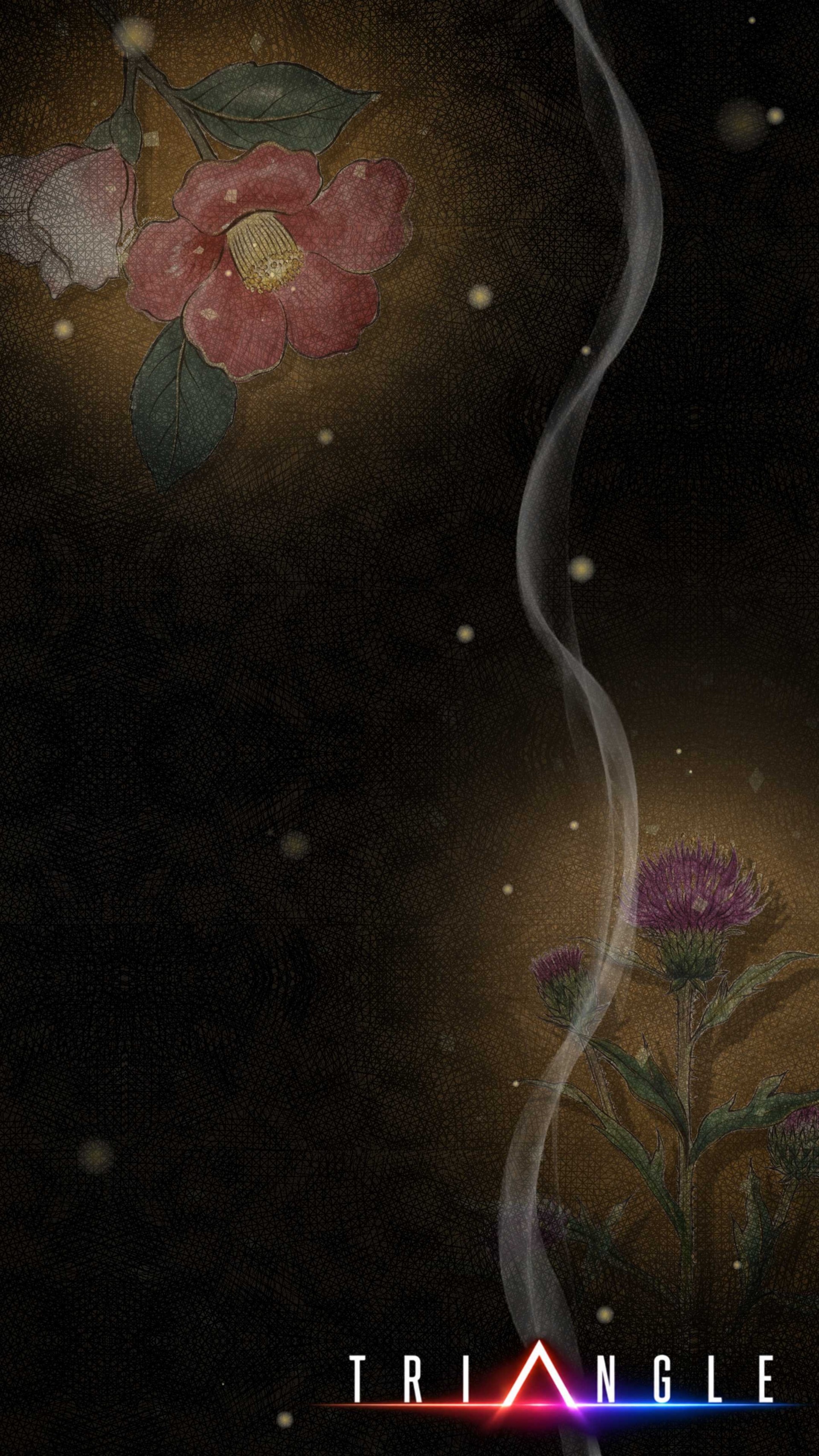 T R I Δ N G L E 前半
