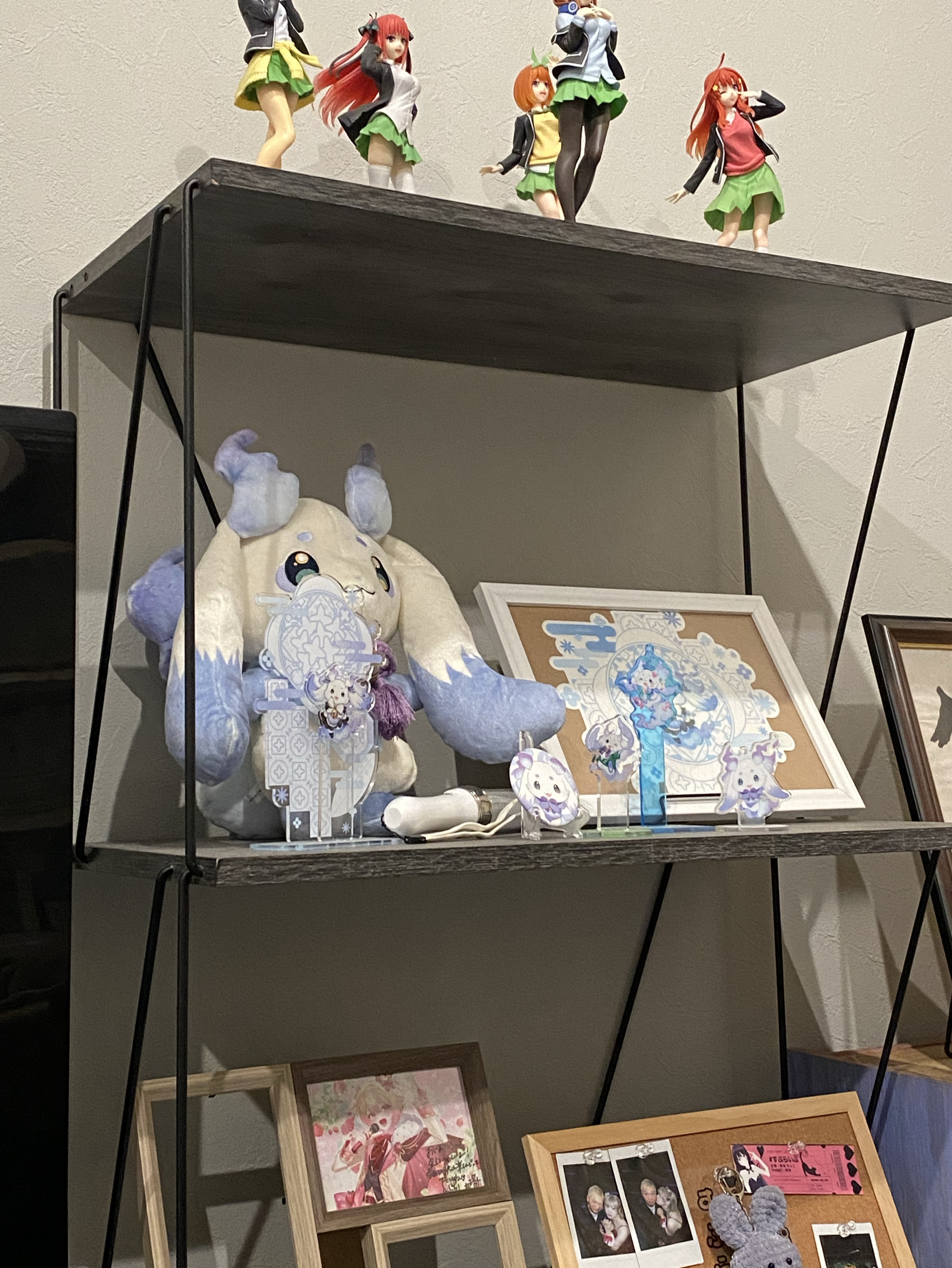 すんごいただいま！🐥