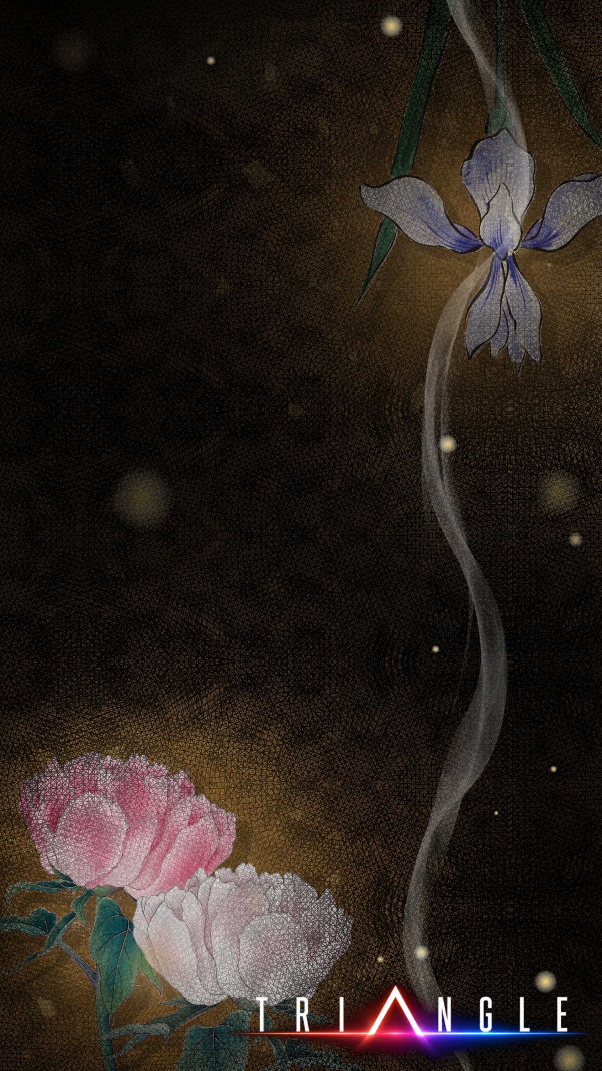 T R I Δ N G L E  前半
