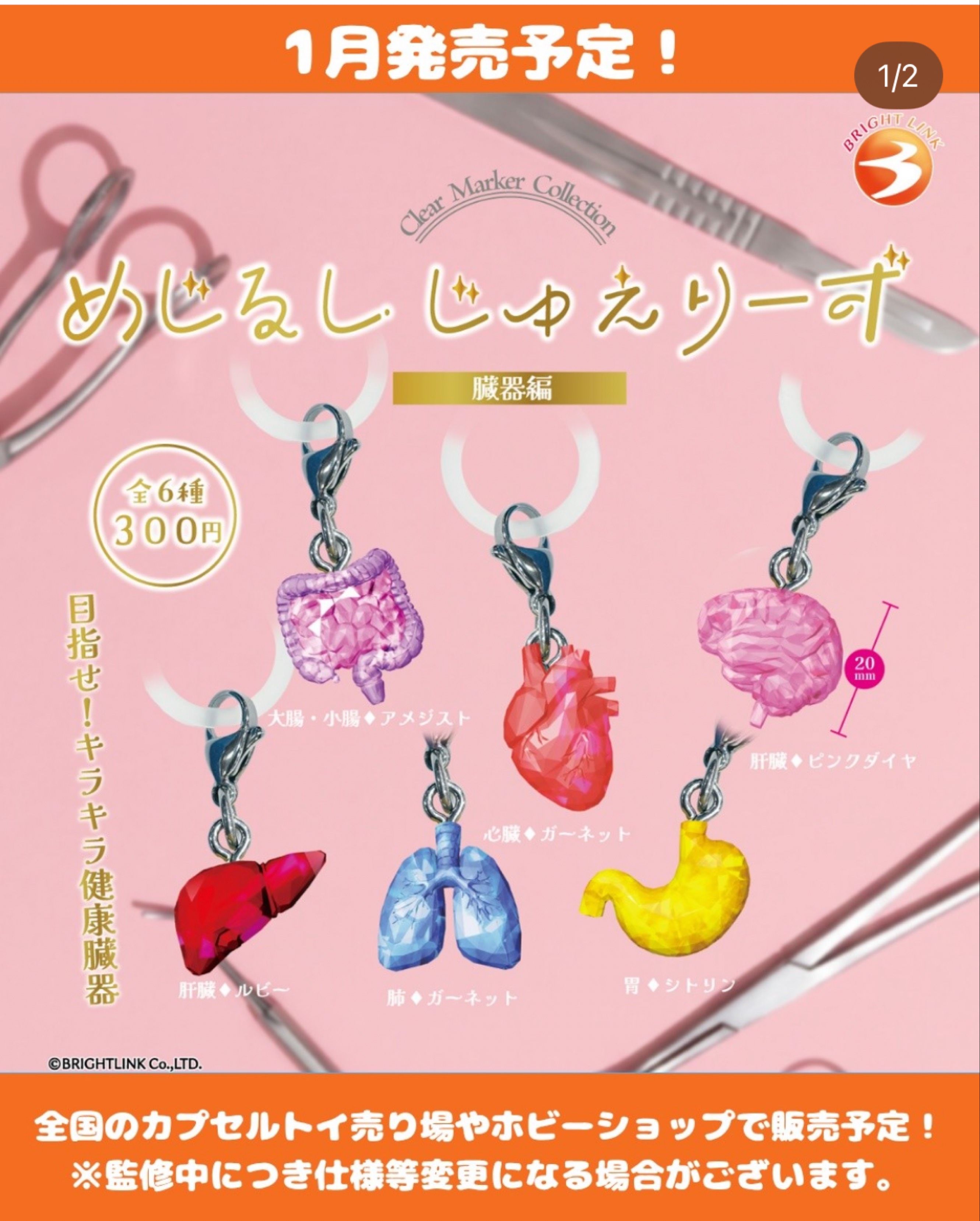 ここで寝ていきませんか？？