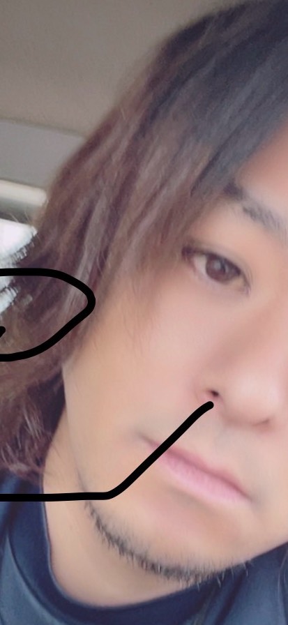 乗り換えてみなよ🐹