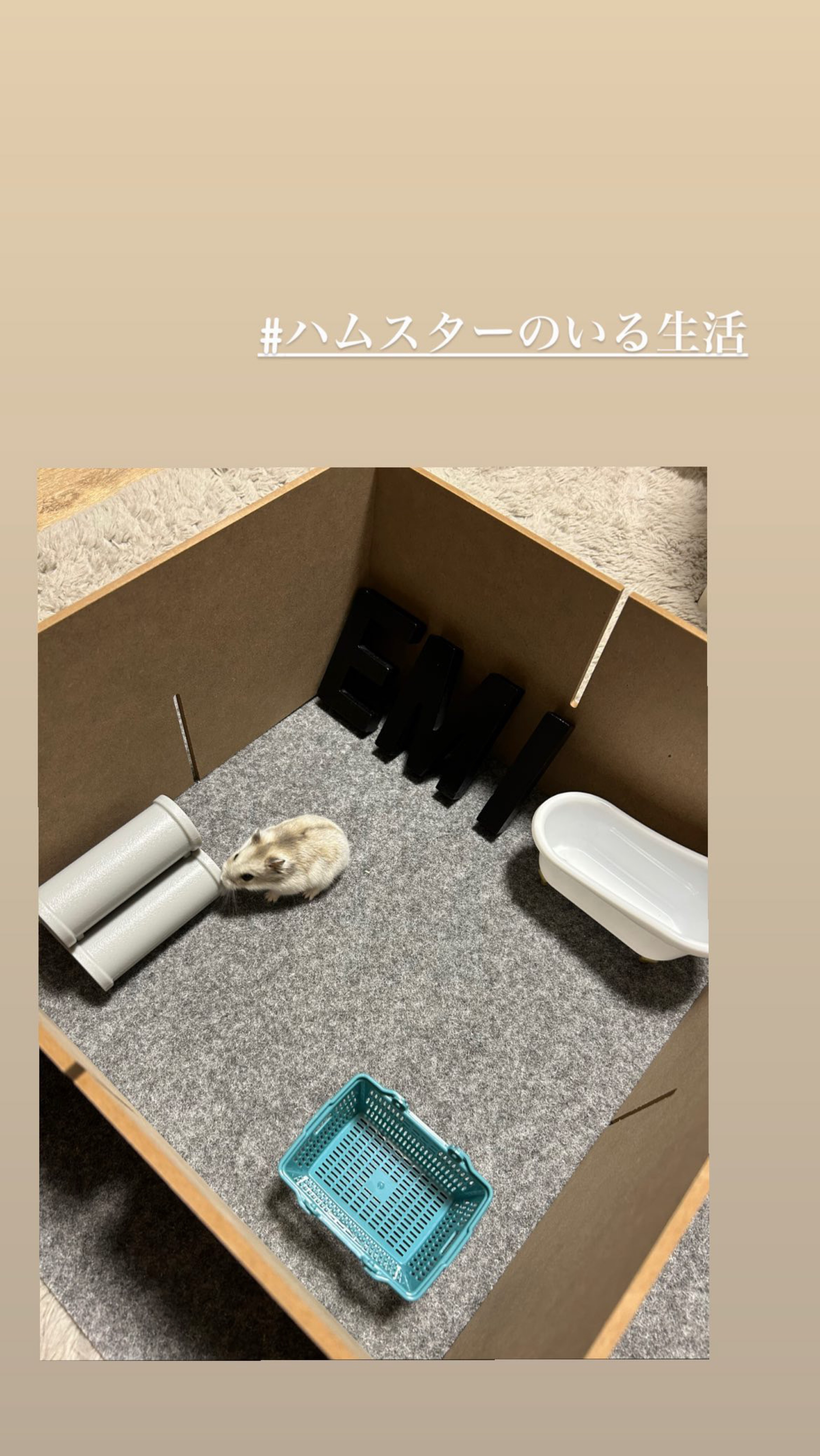 🧚‍♂️ なーに見てんの？🙂‍↕️♡