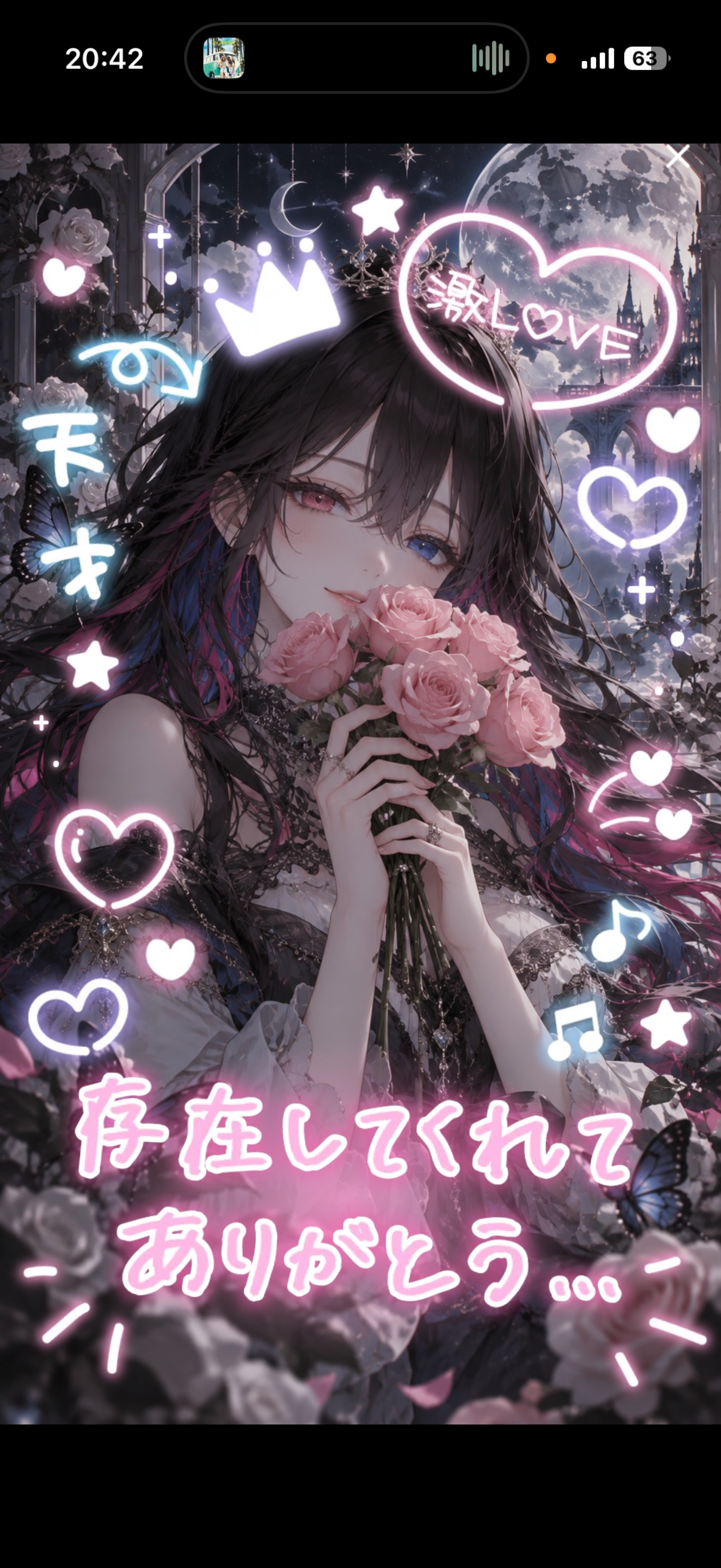 定時ラスト。ほんとにありがとう💫🪻‬