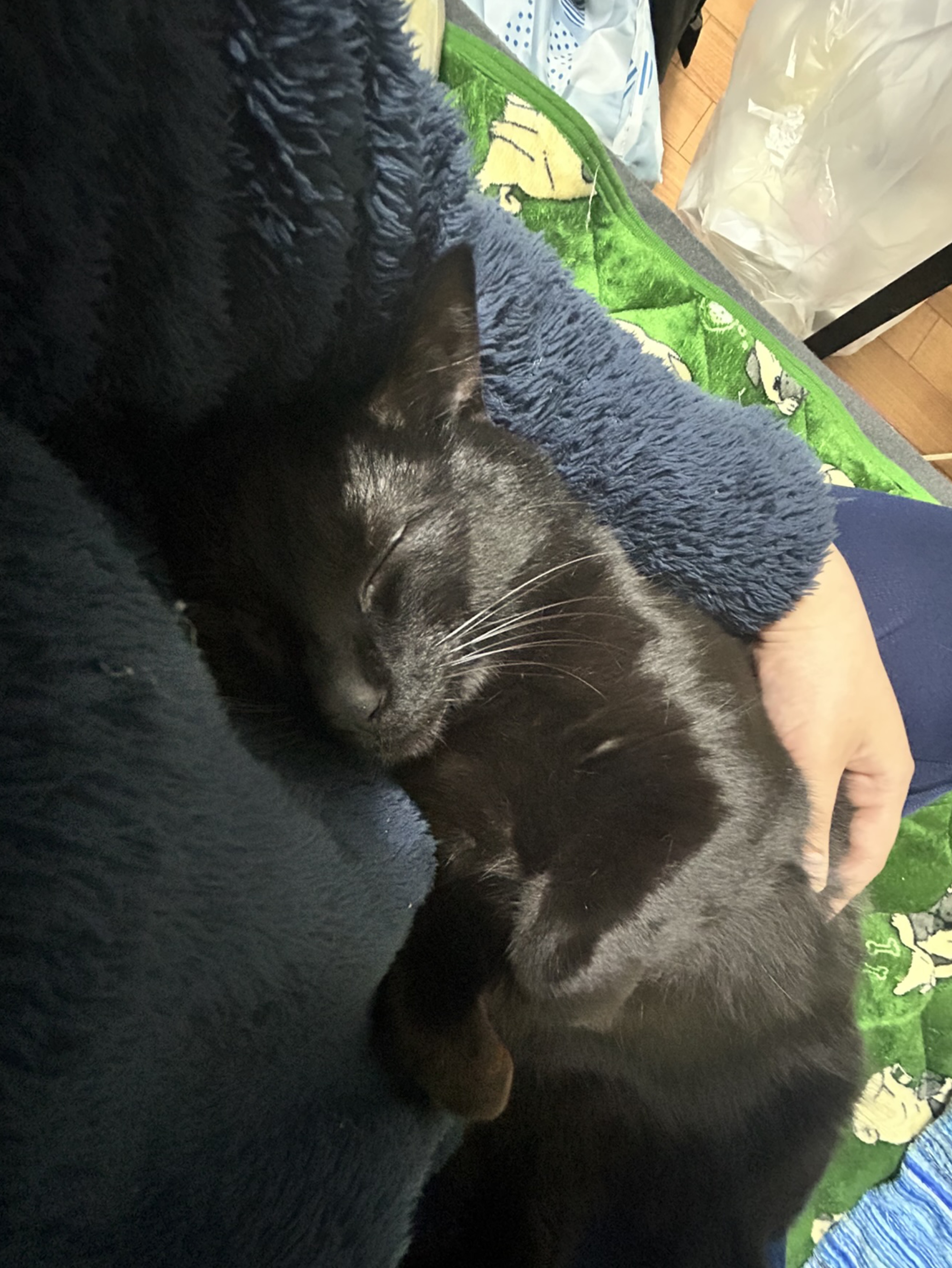 初潜◎起きてる天才さん