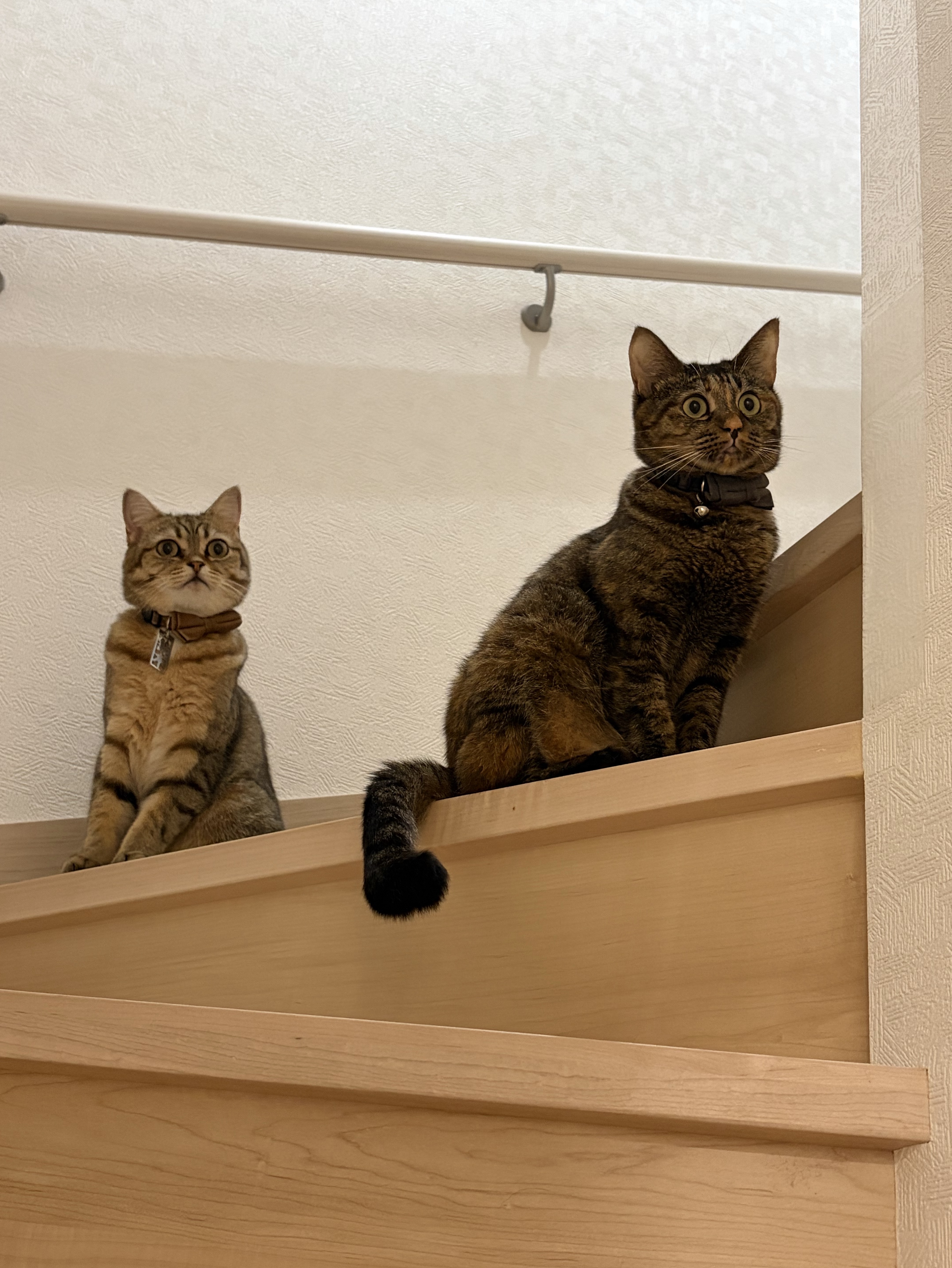 初潜◎名前集めてます。