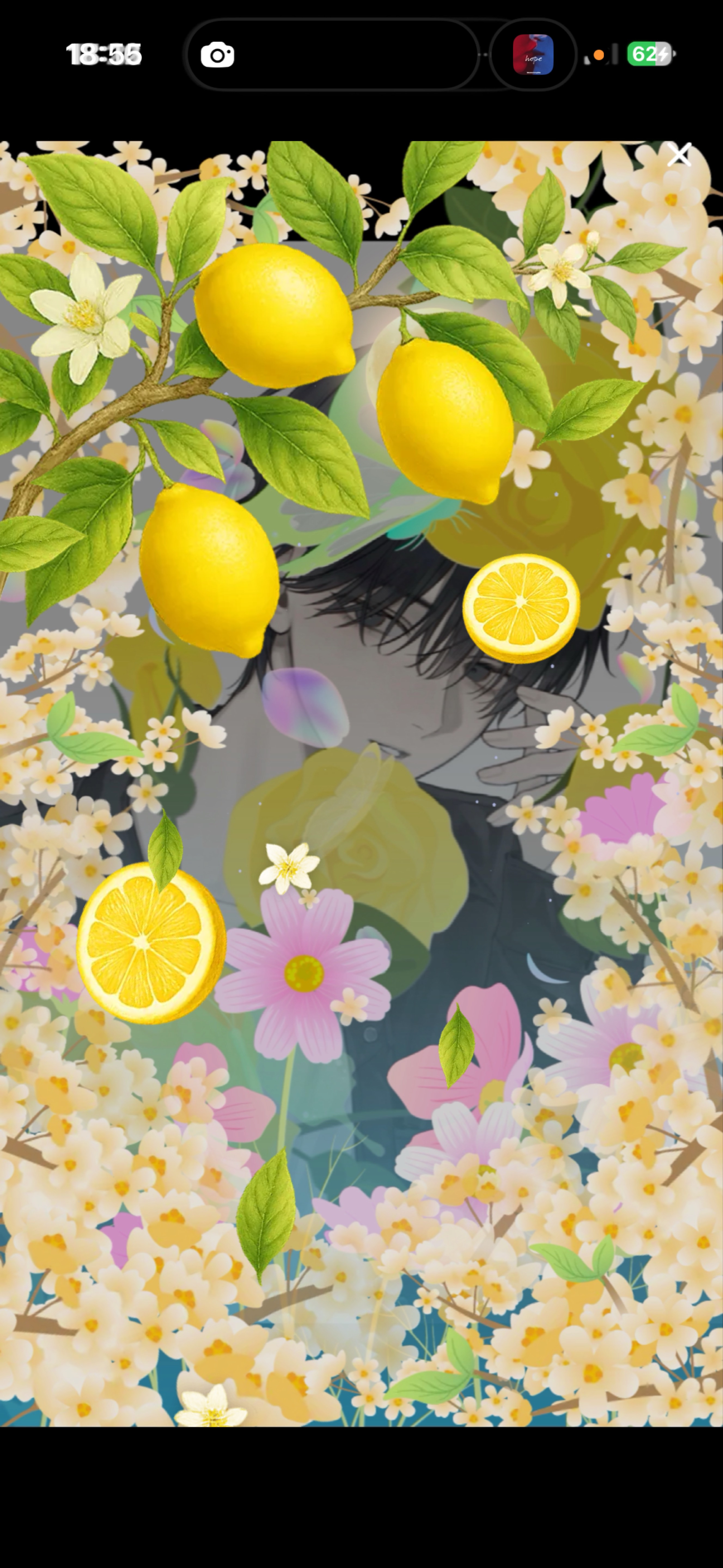 お友達作り‼️‼️‼️