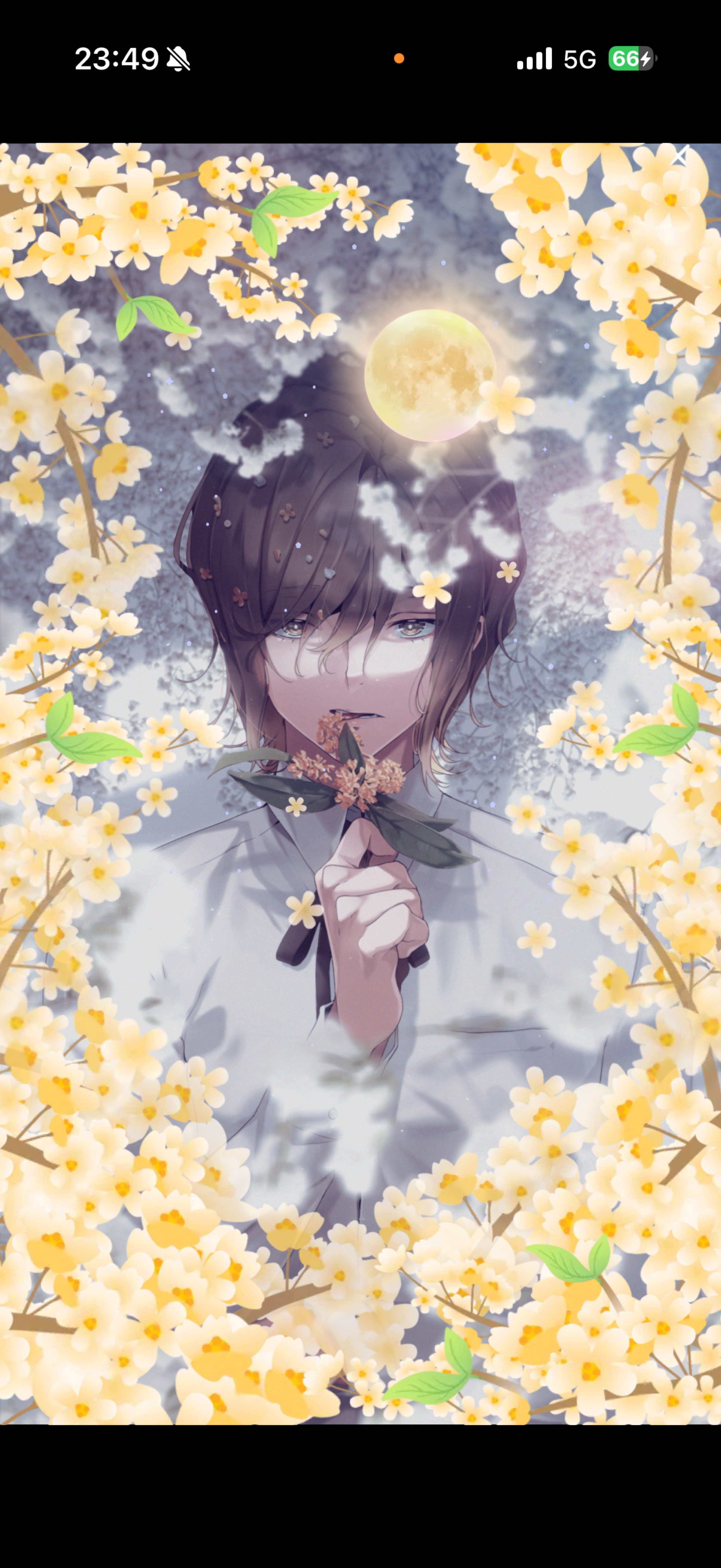 𝙜𝙤𝙤𝙙 𝕟𝕚𝕘𝕙𝕥 𝗝𝗮𝗽𝗮𝗻𓂃
