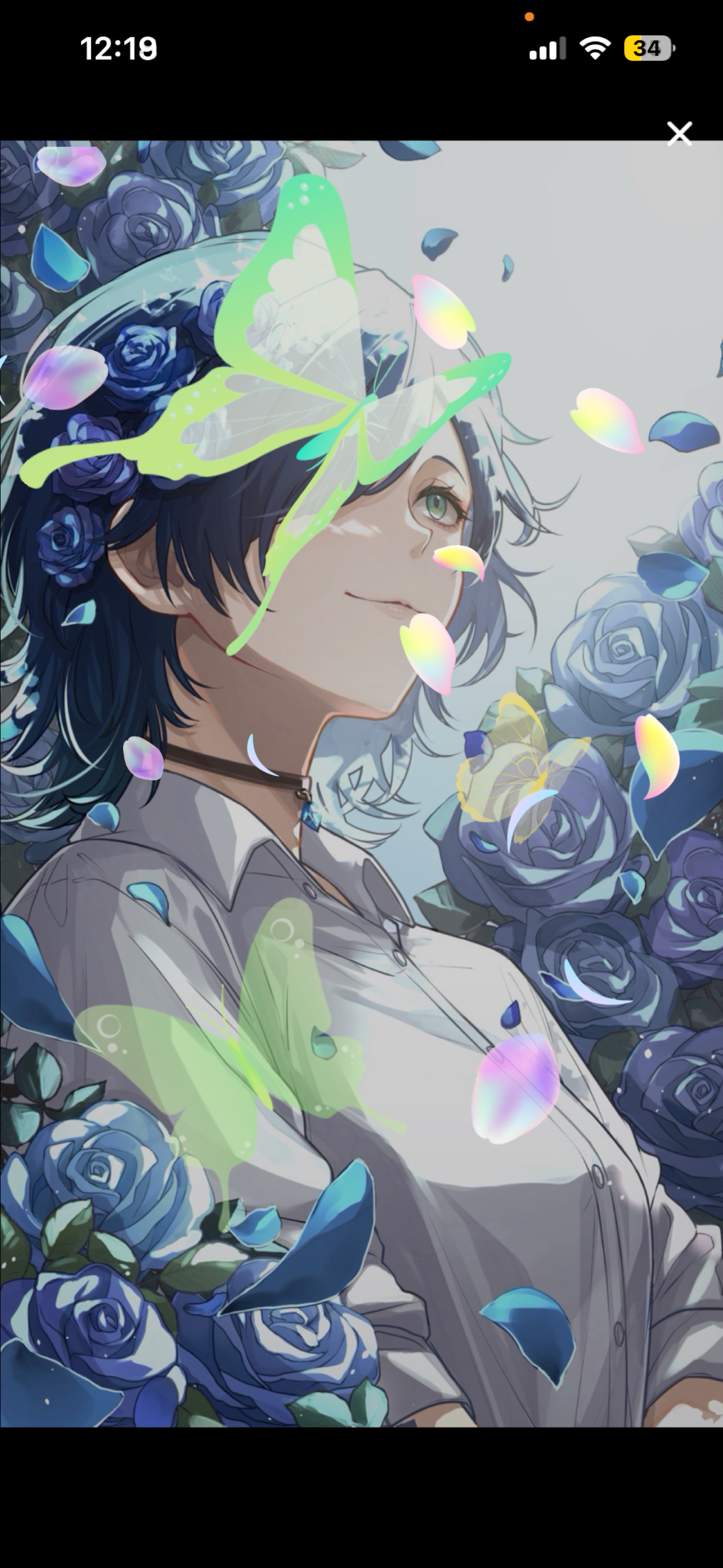 〖♡落歓迎〗飛び込め❣️